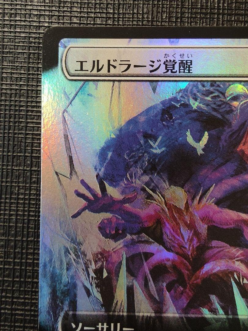 Amazon.co.jp: MTG エルドラージ覚醒 拡張 Foil 日本語 : ホーム＆キッチン
