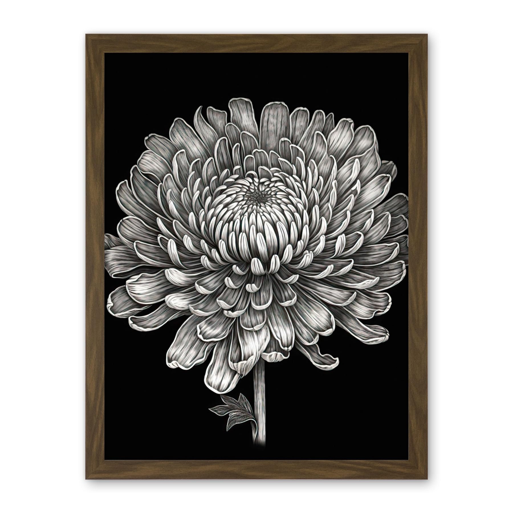 Artery8 Detailed Chrysanthemum Flower Bloom Illustration Artwork Framed Wall Art Print 18X24 Inch