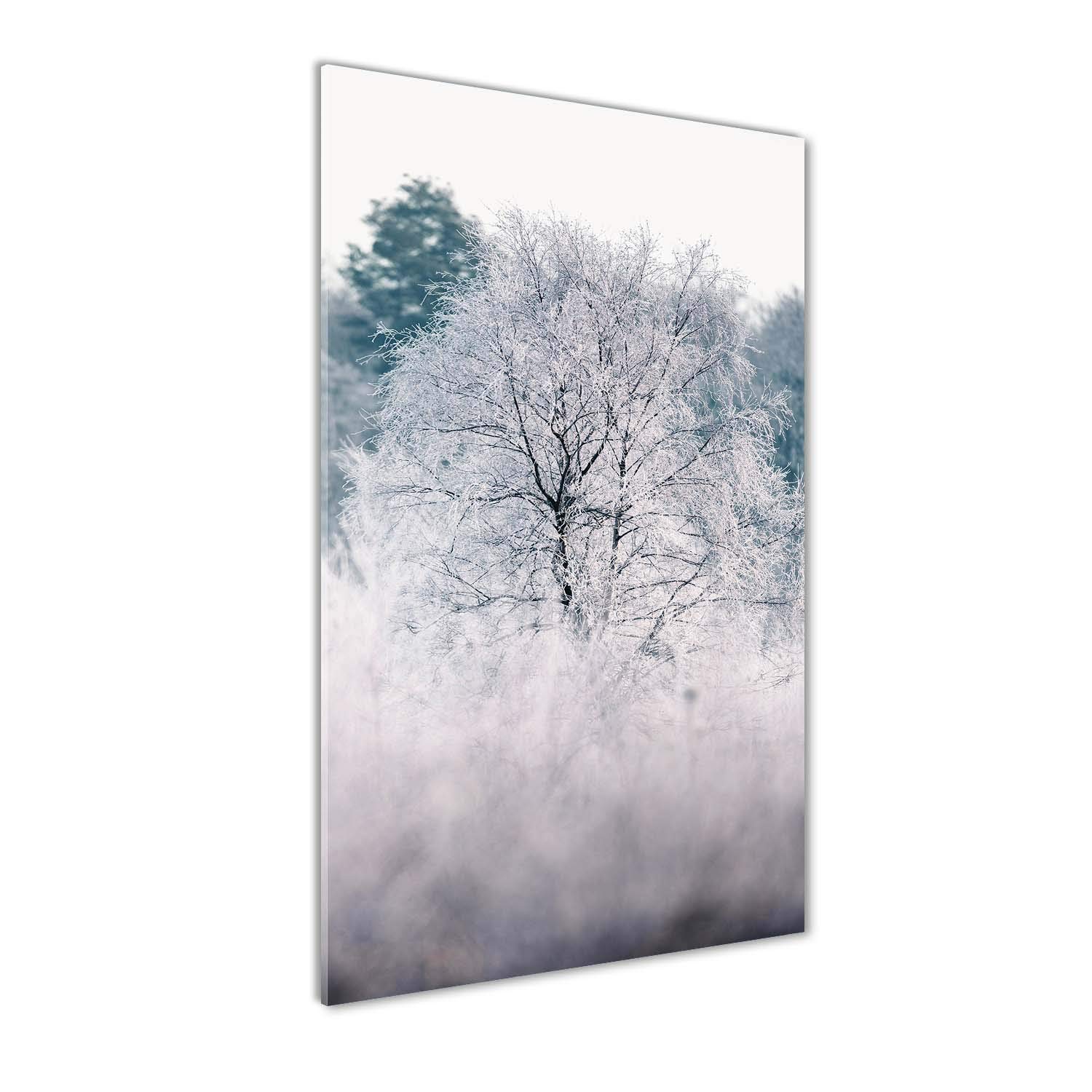 Déco mural derrière le plastique acrylique de forêt enneigée pour créer un salon chaleureux
