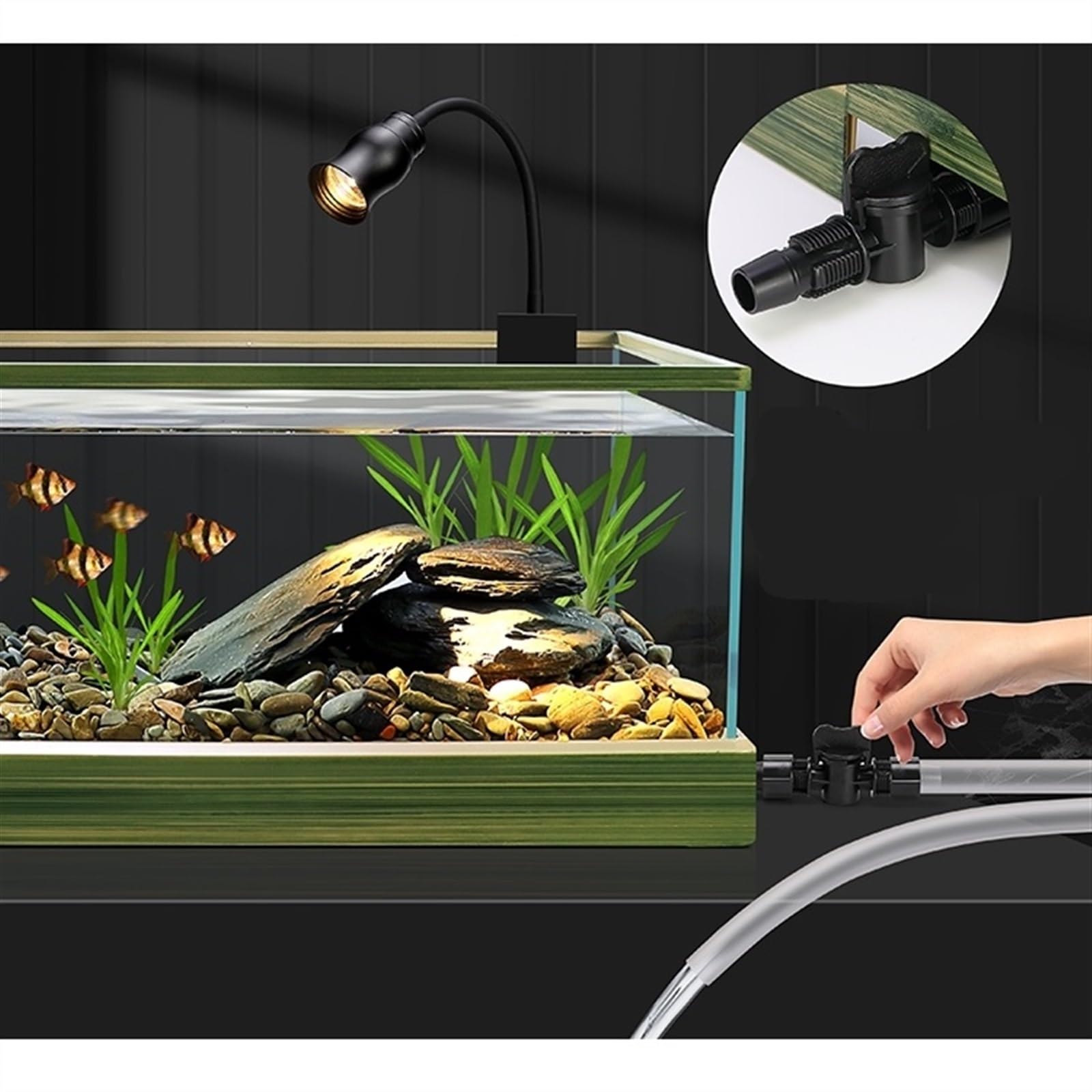 Fischtank Transparent Glass Aquarium with Decorative Border Living Room Office Ornamental Glass Aquarium Desktop Transparent Fish Tank Turtle Tank Aquarium(43x26x21cm)