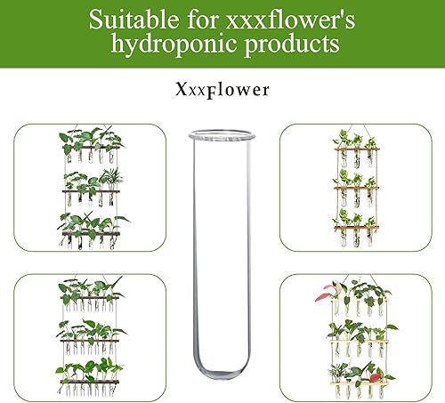 Miniatura 3 de XXXFLOWER Accesorios para estaciones de propagación de vidrio, tubos de ensayo de vidrio, macetas para terrario de pared para el hogar, oficina,