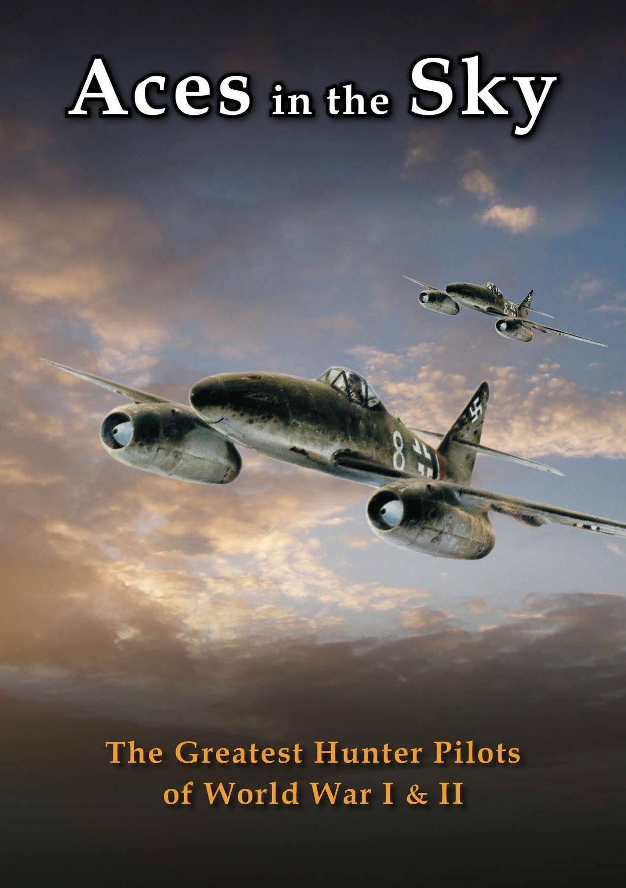 Aces in the Sky The Greatest Hunter Pilots of World War I and II