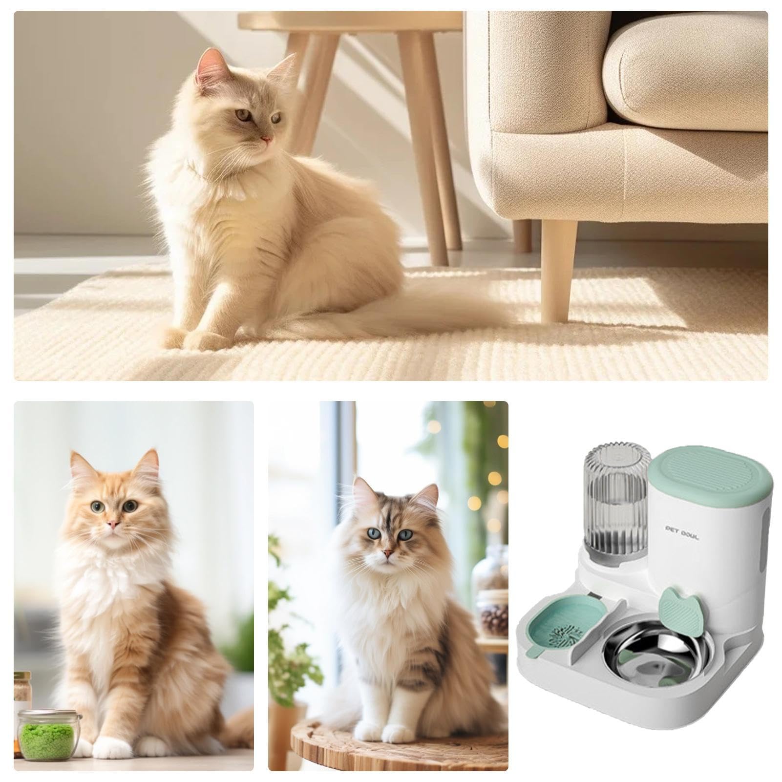 Gamelle automatique pour animaux de compagnie - Distributeur d'eau pour chiens et chats avec capacité | Station d'alimentation et d'eau créative à long terme avec filtre pour aliments humides