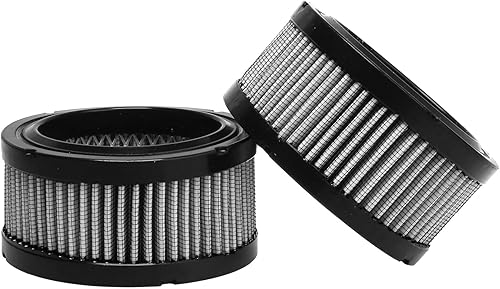 Miniatura 2 de 2 filtros de aire BAIZHIHUA 32170979 para Ingersoll-Rand, FS-Curtis, Sullair, Champion, Gardner Denver, Campbell hausfeld compresor de aire que