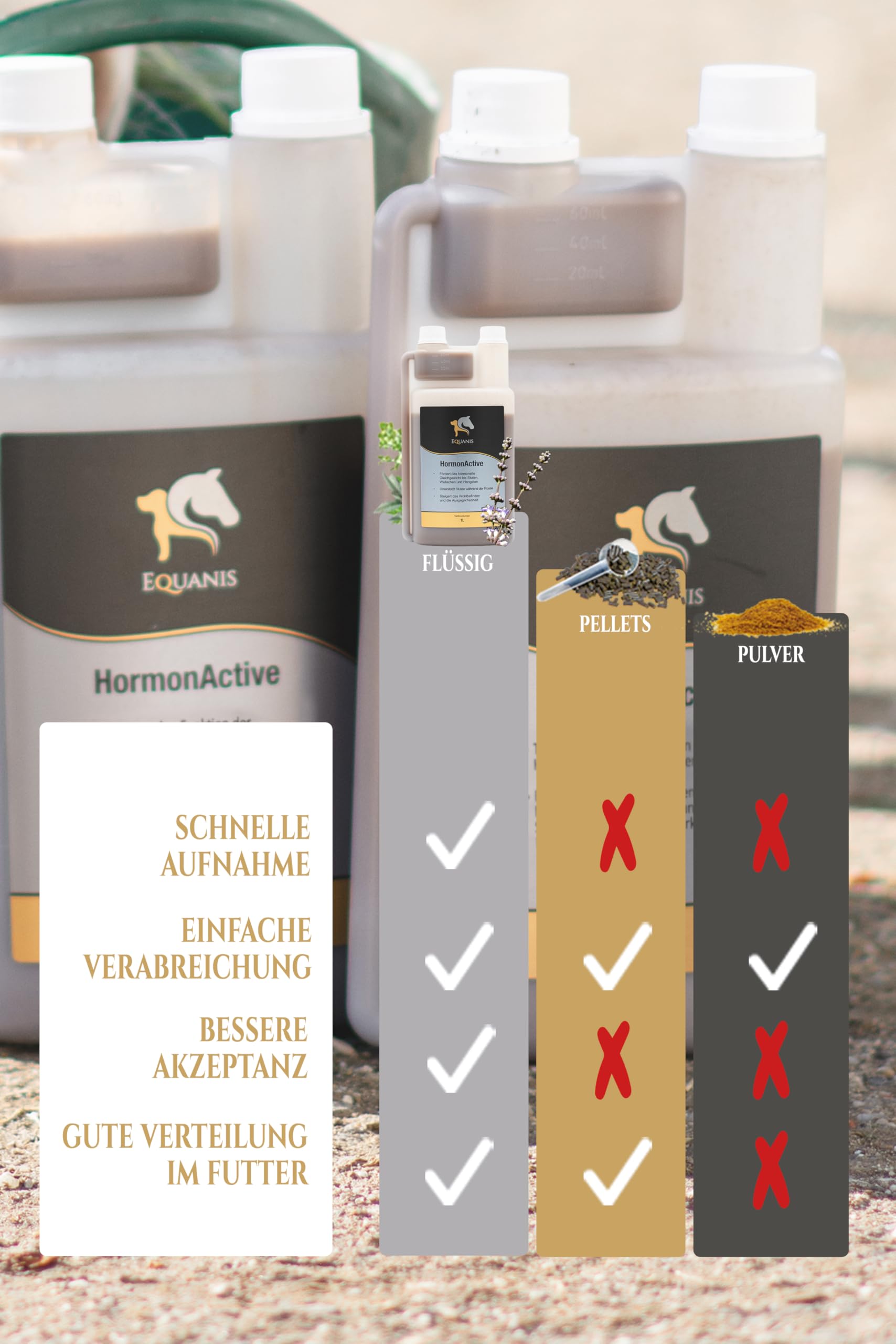 Equanis HormonActive - Natürliche Unterstützung mit Mönchspfeffer, Magnesium, Traubenkernmehl, Johanniskraut, Tryptophan, B12, Traubensilberkerzenextrakt und Salbei