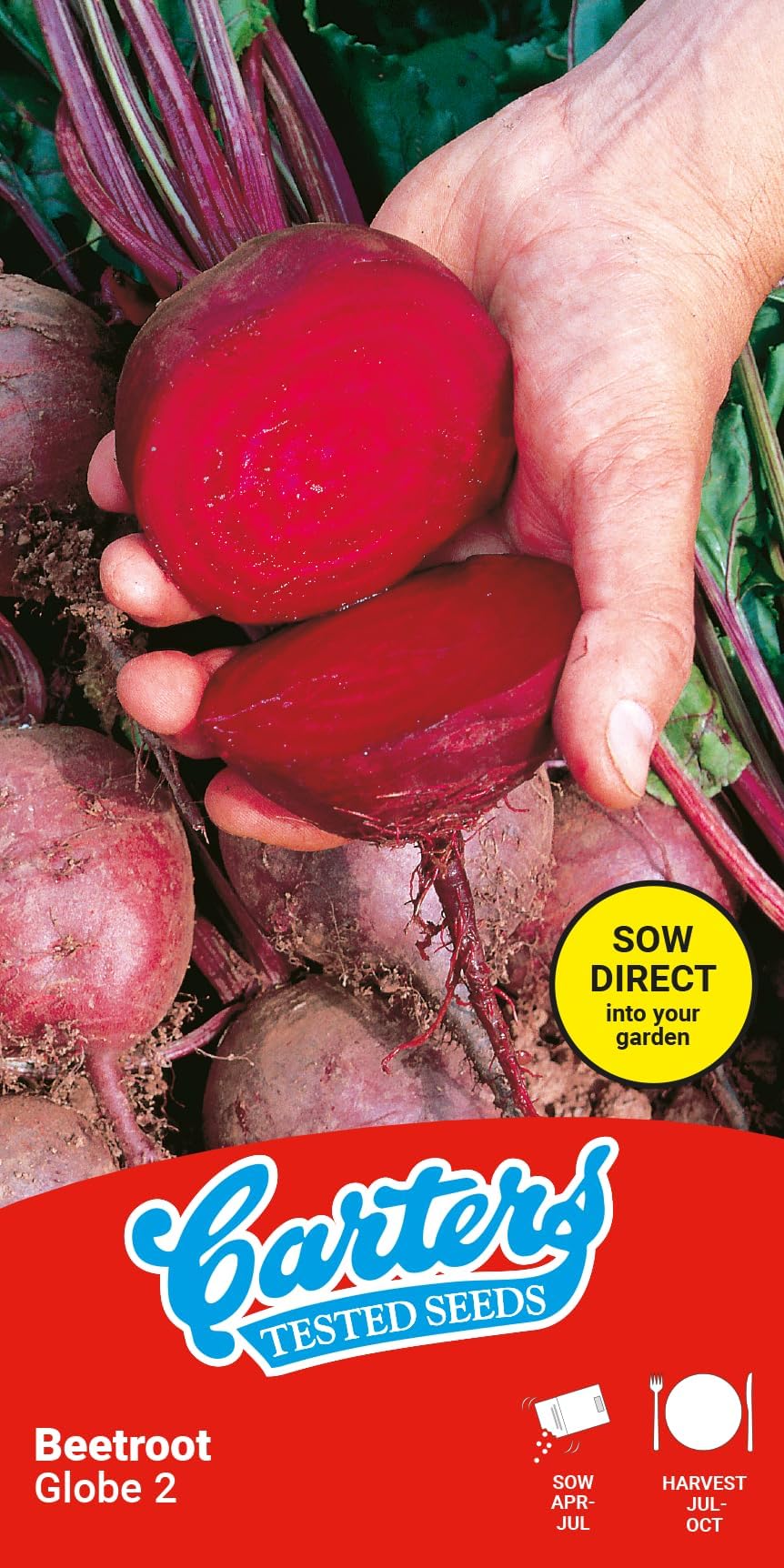 Carters Beetroot Globe 300 Seeds High Yield Smooth Crimson Roots Easy Grow Vegetable Garden Seeds for Beds Containers Spring Summer Sowing
