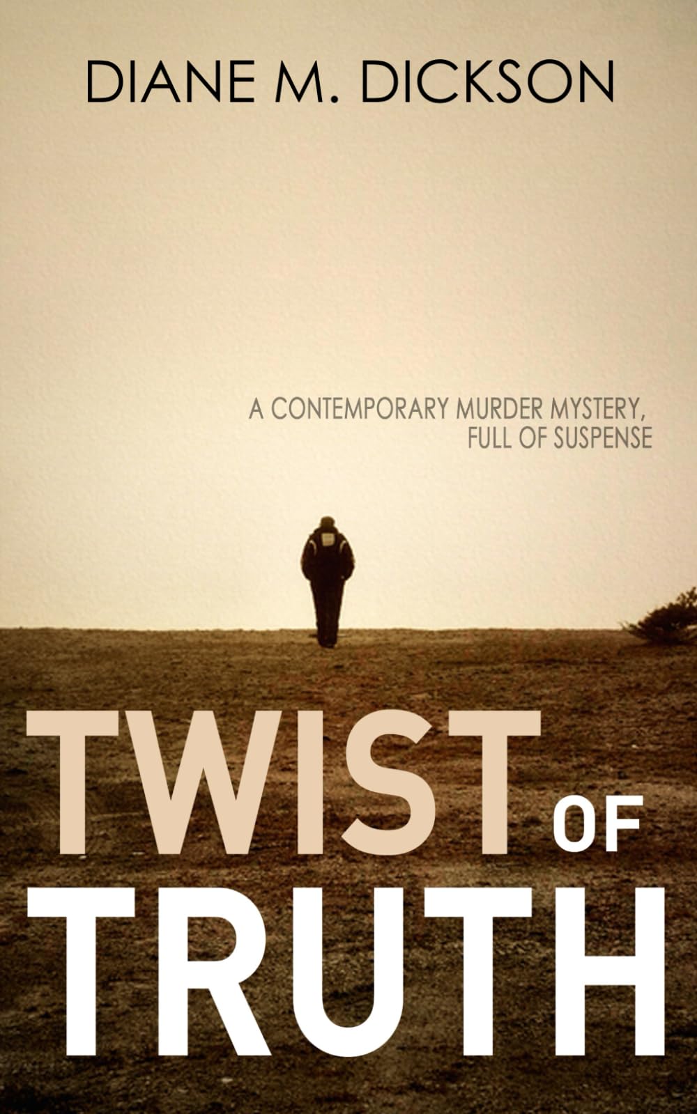 TWIST OF TRUTH: a contemporary murder mystery (Yorkshire crime mysteries)