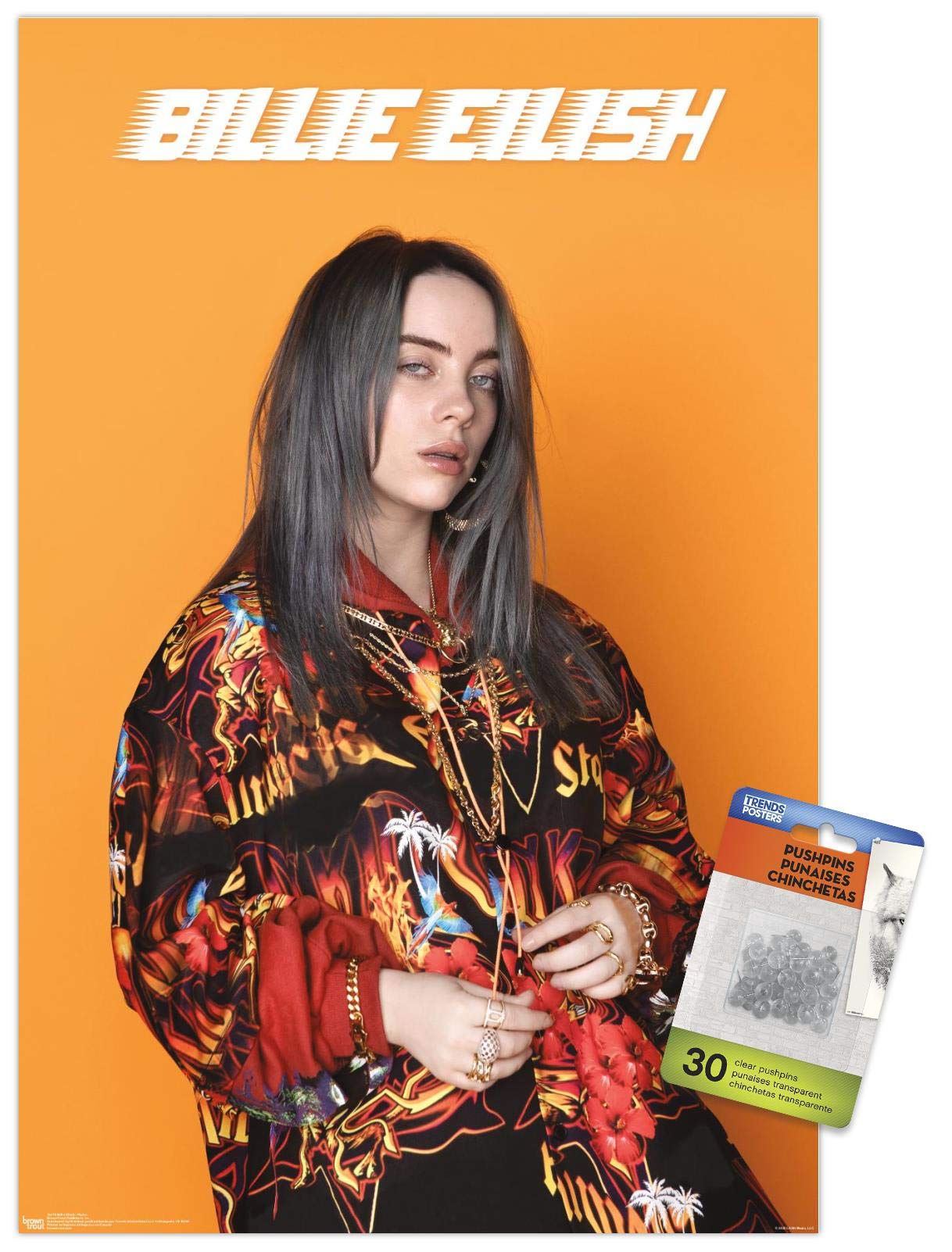 Billie Eilish - Photo Wall Poster with Push Pins
