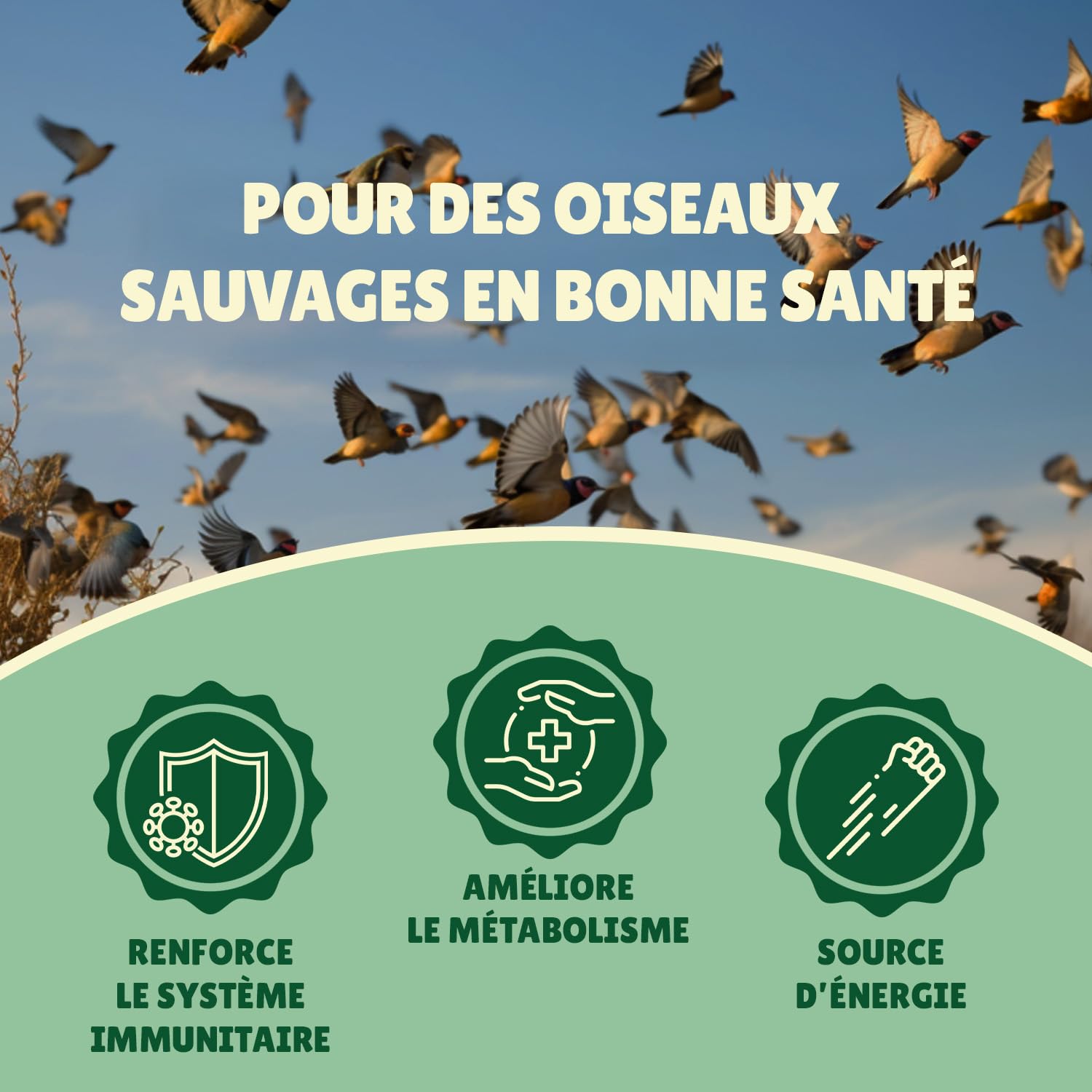 vers de Farine séchés 10kg Au Comptoir de Noé, 100% Naturel, Riches en Protéines et Bonnes Graisses, Alimentation pour Poissons, Oiseaux Sauvages, Tortues, Hérissons, Rongeurs et Reptiles