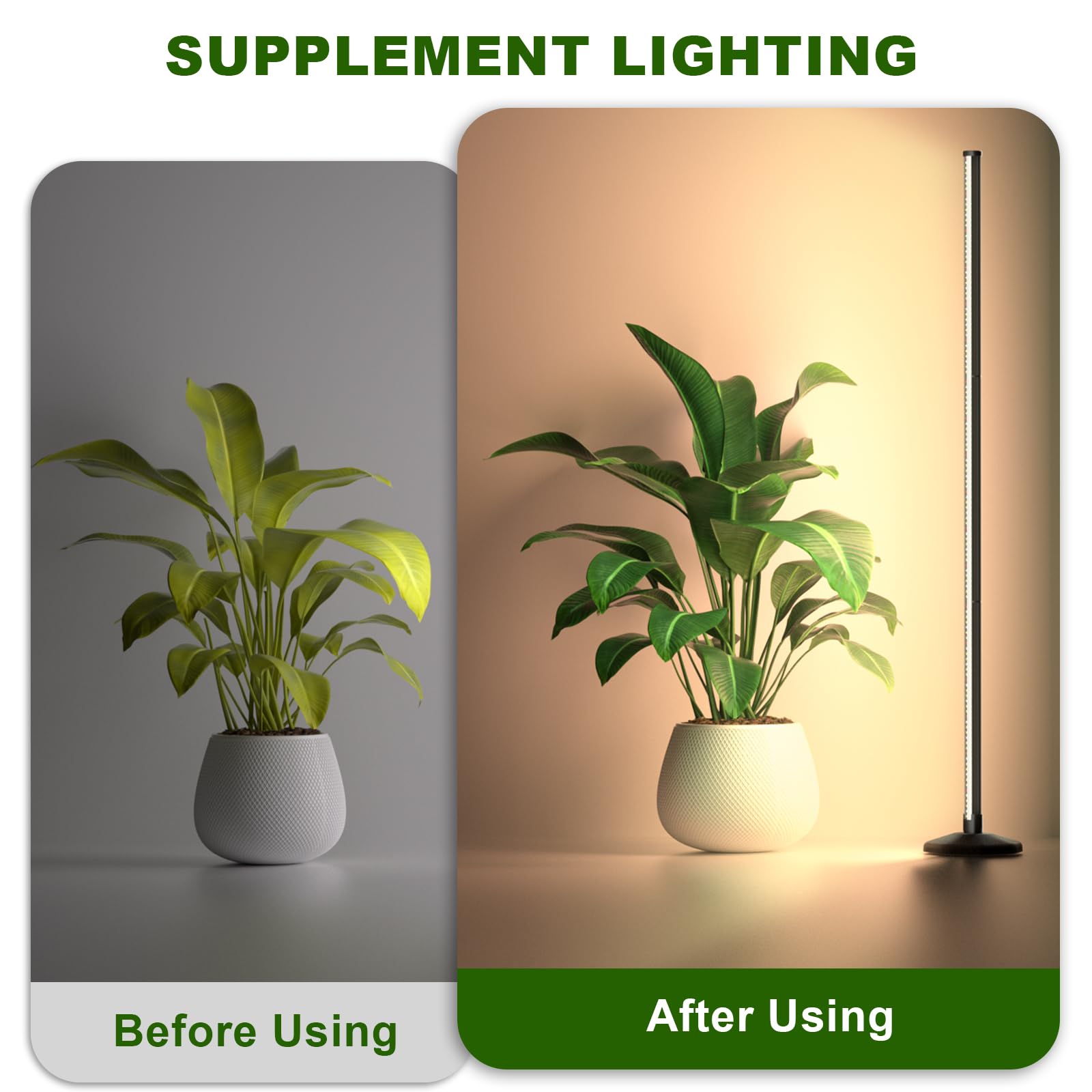 bedee Lampada a LED Piante D'appartamento: Luce Per Piante a Spettro Completo da 6000K per la Germinazione con Timer E Lampada Regolabile Su 10 Livelli Per Serra Con Accessori Per Appenderla