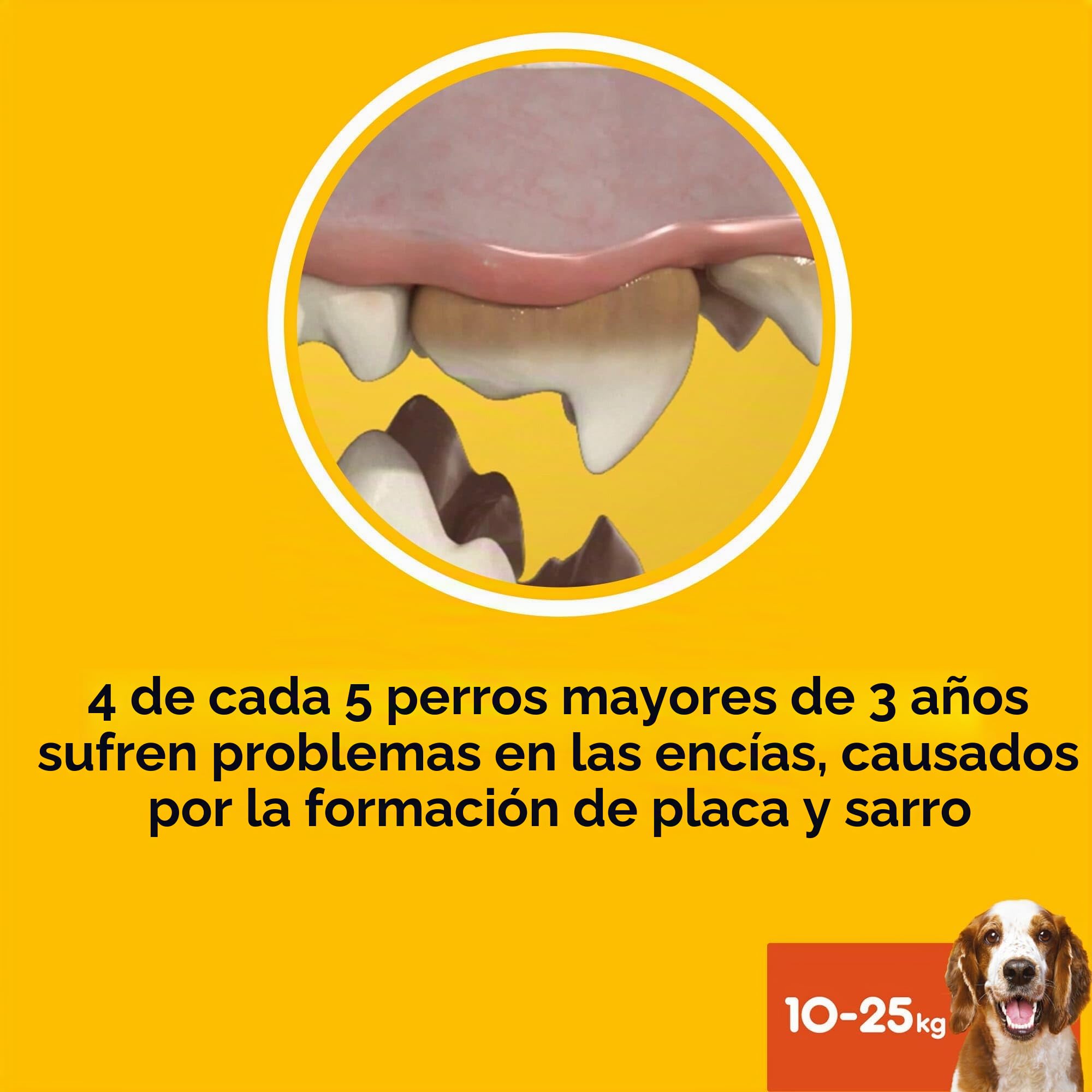 Pedigree Dentastix Fresh 112 Snack para la higiene bucal (Perro Mediano 10-25 kg) 180 g 28 Unidades – 4 Paquetes de 28 (112 Unidades totales)