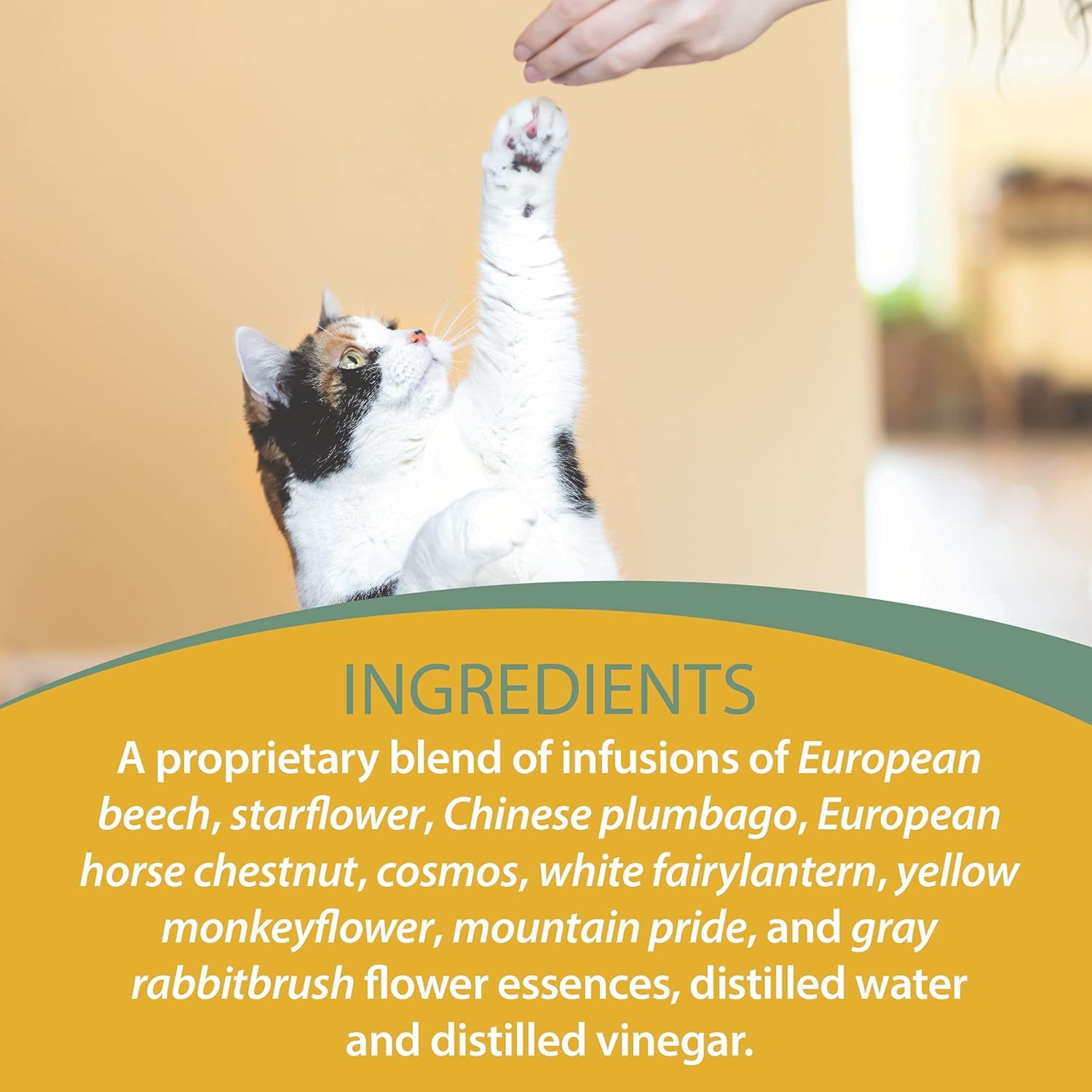 Botanical Animal Safe Natural Flower Essence- in Training for Retained Focus, Acceptance, Engagement, Improved Understanding - Non-Mood Altering, Hemp-Free, Non Allergenic - 4 oz (120 ml)