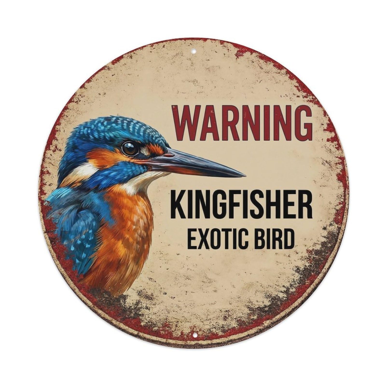 Tgrcjimh Style Metal Tin Sign Vintage Warning Kingfisher