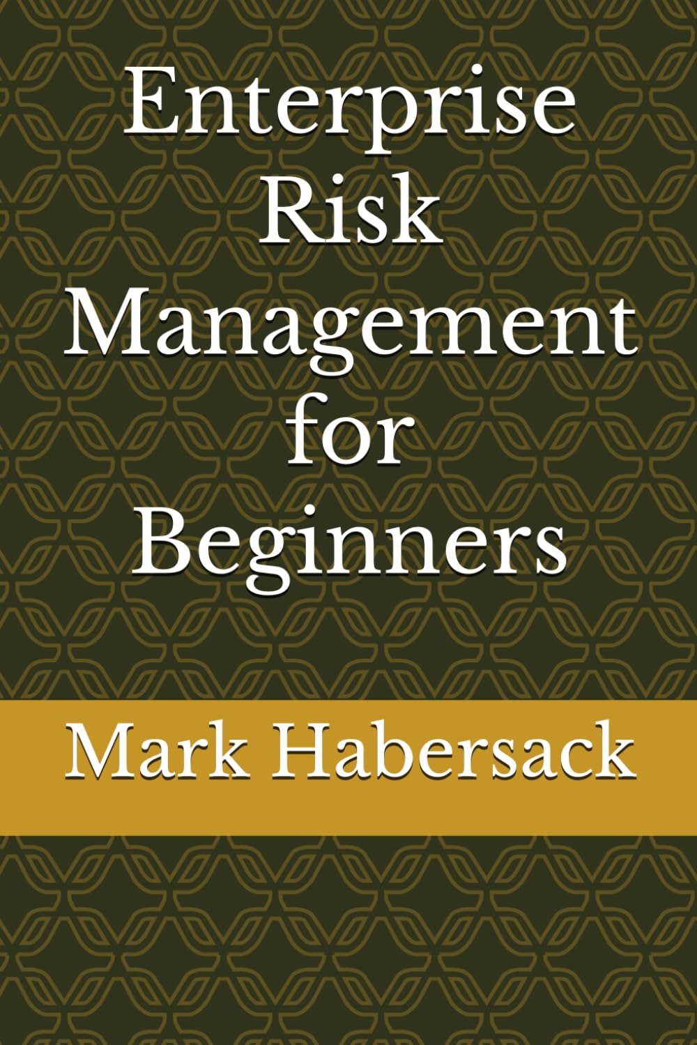 Enterprise Risk Management for Beginners