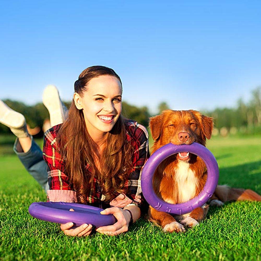 Ferplast Gioco Cane, Anello Addestramento Cani da Masticare, per Corsa, Salto, Tiro, Materiale Robusto Atossico, Galleggiante, PULLER STANDARD, Giochi per Cane, Set di 2 Anelli Fitness