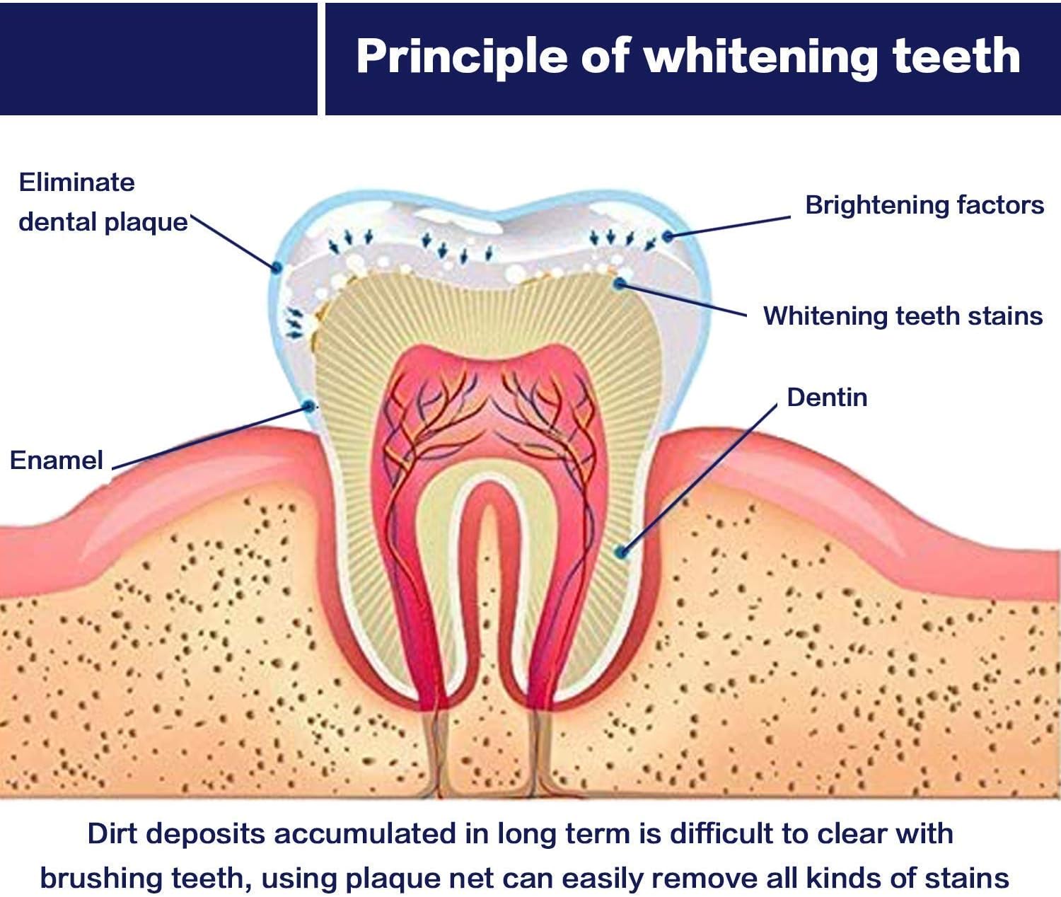 Venus Visage Teeth Whitening Pen(2 Pens), 20+ Uses, Effective＆Painless, No Sensitivity, Travel-Friendly, Easy to Use, Beautiful White Smile, Natural Mint Flavor : Beauty & Personal Care