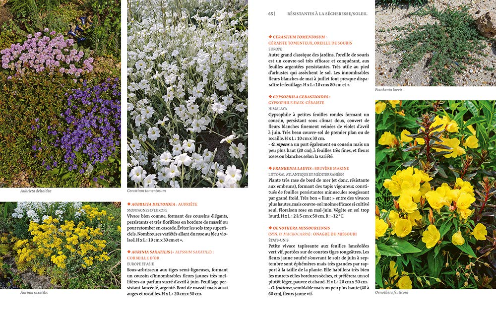 Toutes les plantes supportant la sécheresse