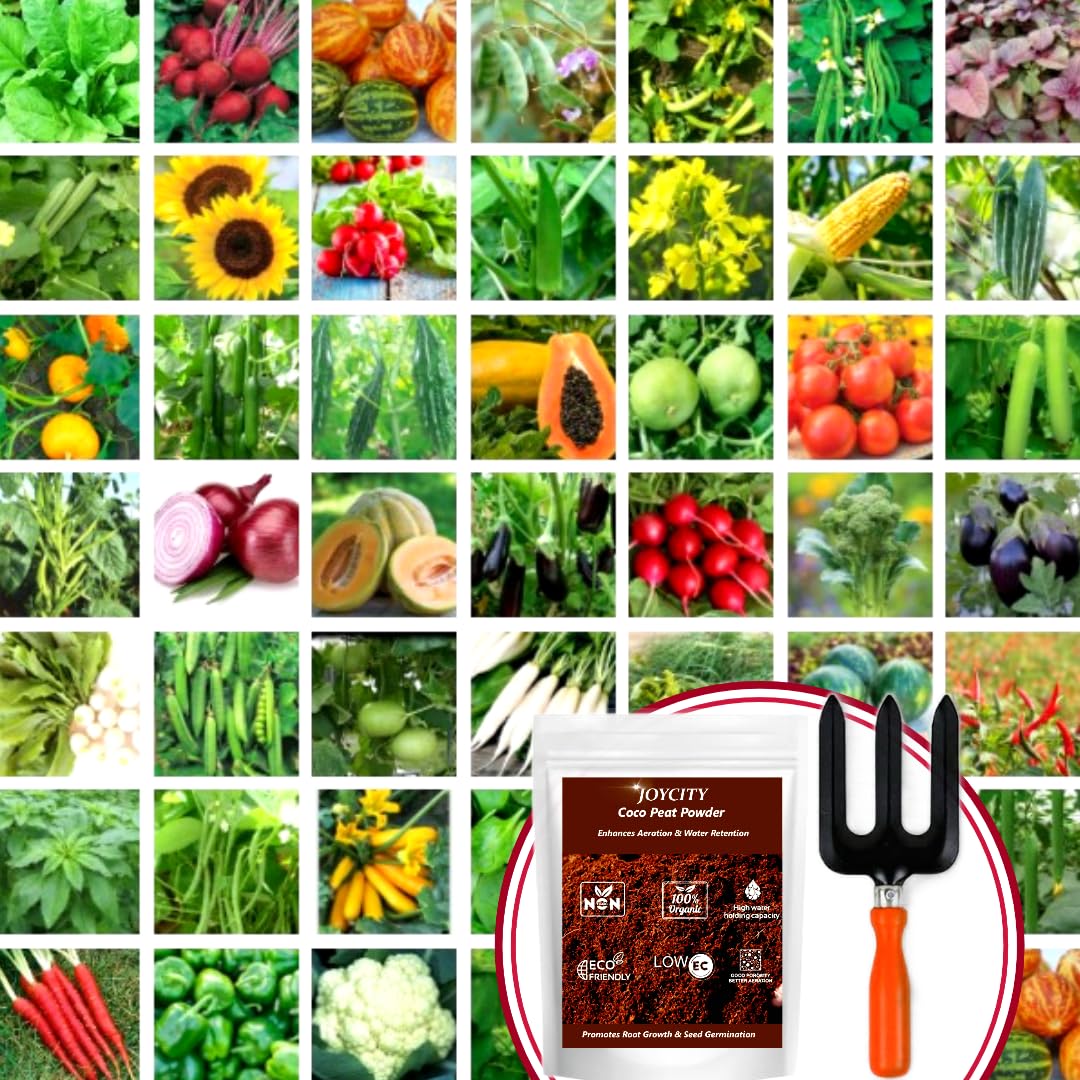 See full amazon price history chart for Joycity 45 Variety of Vegetable Seeds (3000+ Seeds) & Gardening Tool Fork for Home Gardening with Cocopeat Powder for Gardening (250Gms) | Pot Plants Joycity 45 Variety of Vegetable Seeds (3000+ Seeds) & Gardening Tool Fork for Home Gardening with Cocopeat Powder for Gardening (250Gms) | Pot Plants (B0CD44548V) Amazon Price History, Amazon Price Tracker