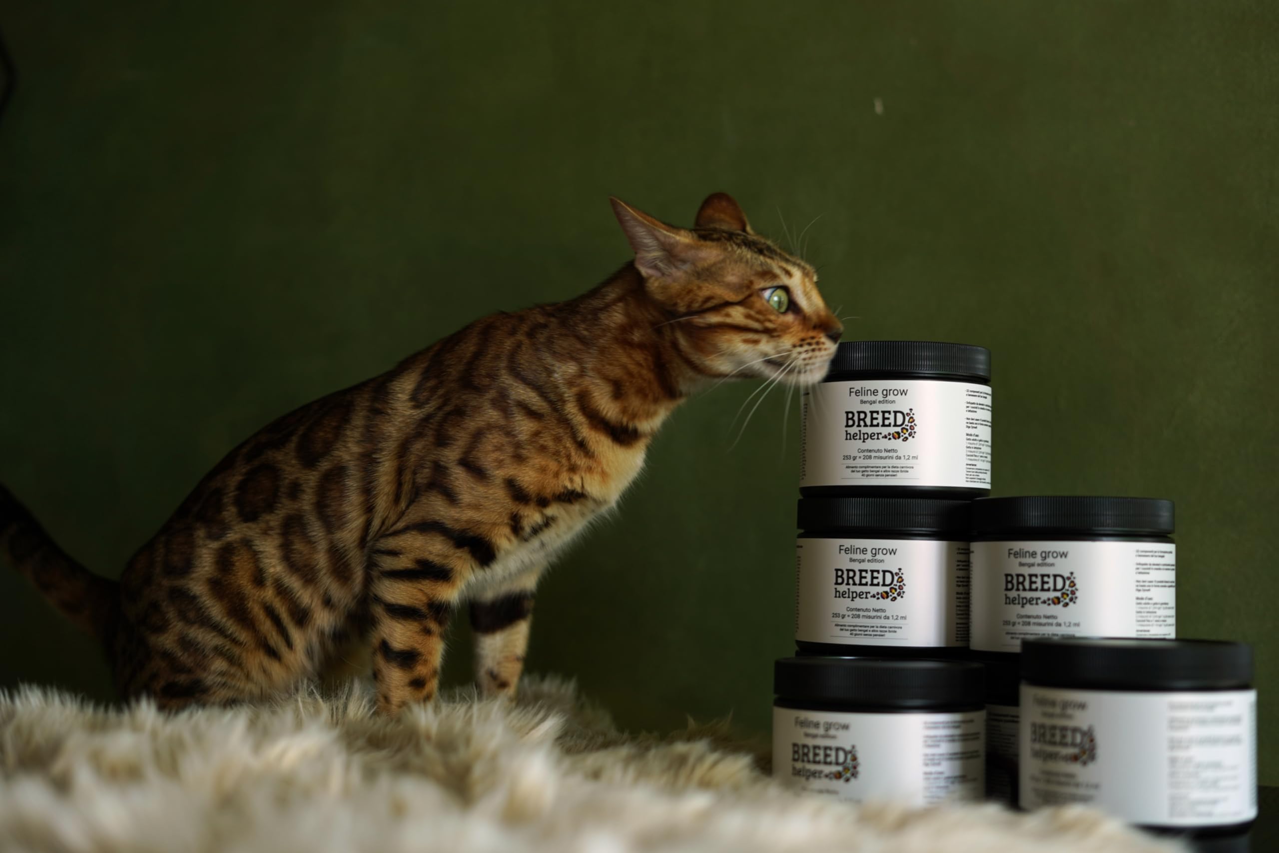 Feline Grow, Integratore complesso di 22 componenti per Gatti Bengala in periodi di crescita ed acopiamento, con la Taurina, Acido folico,Silimarina e L-Lysine, supporto imunitario