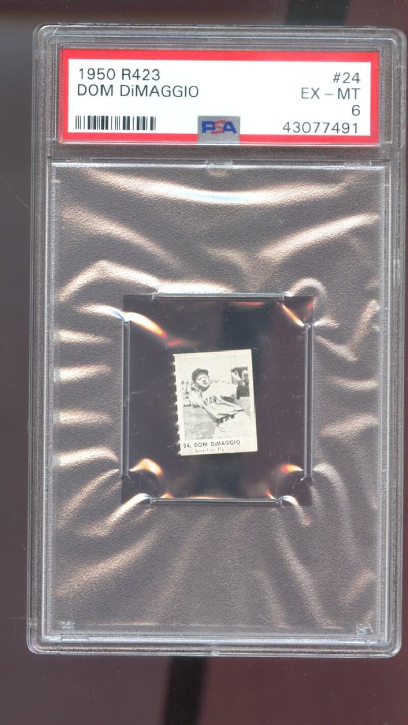1950 R423#24 Dom DiMaggio PSA 6 Graded Baseball Card MLB Game Strip Purple Back