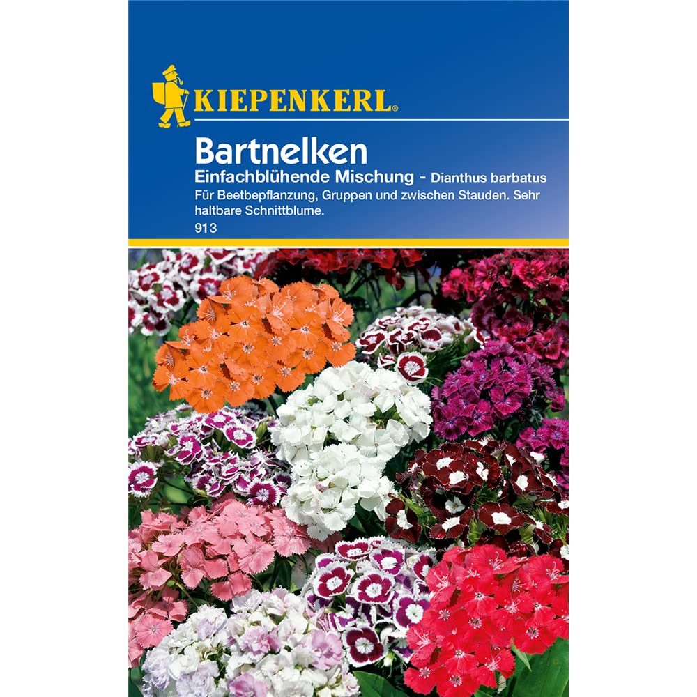 Saatgut Nelken Nelken, einfach blhende Mischung : Amazon.com.be: Garden
