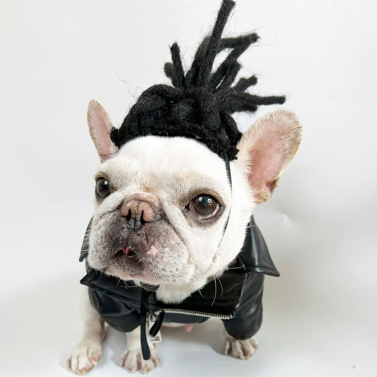 Funny Dog Wig - Cat Role Play Wig for Parties Festivals, Halloween & Christmas - Black Long Hair, Small to Large Sizes - Image 3