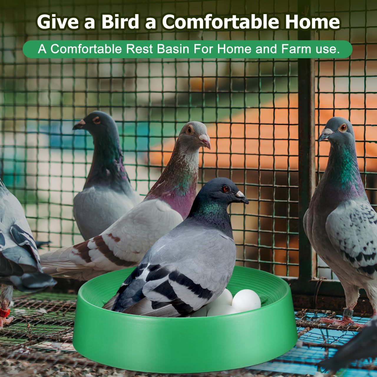 balacoo Juego de 10 cuencos de plástico para anidar palomas para pájaros y palomas