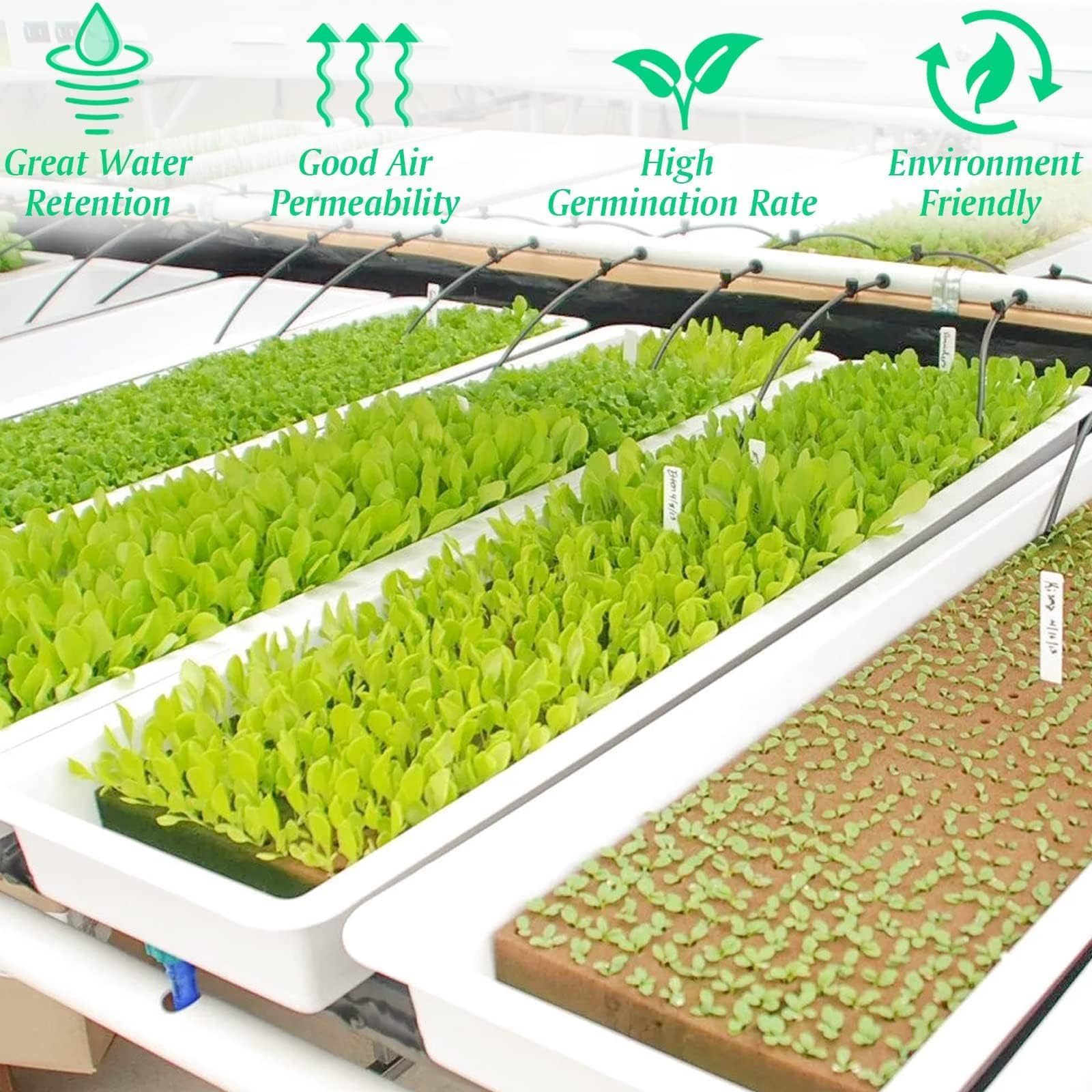 Halatool 98 Stück Steinwolle Anzucht 4x4x4cm Steinwolle Würfel, Rockwool Cube für hydroponic anzucht,Bodenlose Anzucht Setzlinge Stecklinge Klonpflanzen,erdlose Kultivierung, Klonpflanzen, Keimung