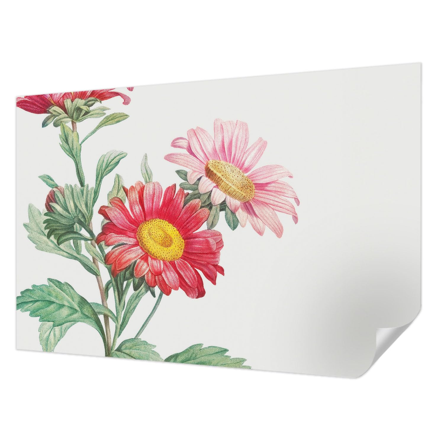 Papier peint adhésif pose murale facile motif fleurs délicates 104x70