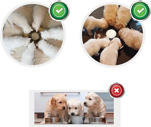 Miniatura 4 de Cuencos para perros de alimentación lenta, cuencos de acero inoxidable para cachorros, divertido cuenco para detener la hinchazón para comedores
