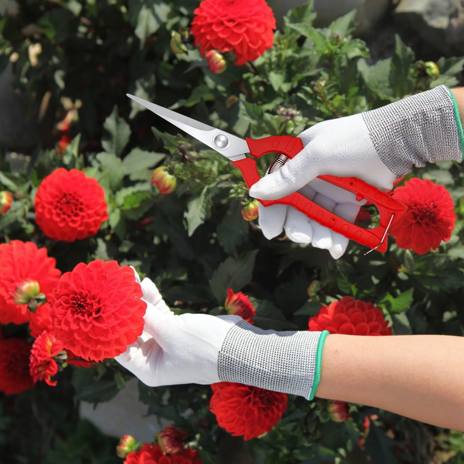 12 Stk. Gartenscheren-Set aus Edelstahl, 7,87 Zoll Bulk-Baumscheren, rote Spitzschere für Rosenschnitt, Blumen, Pflanzen und Baumschnitt, für präzise Schnitte im Garten