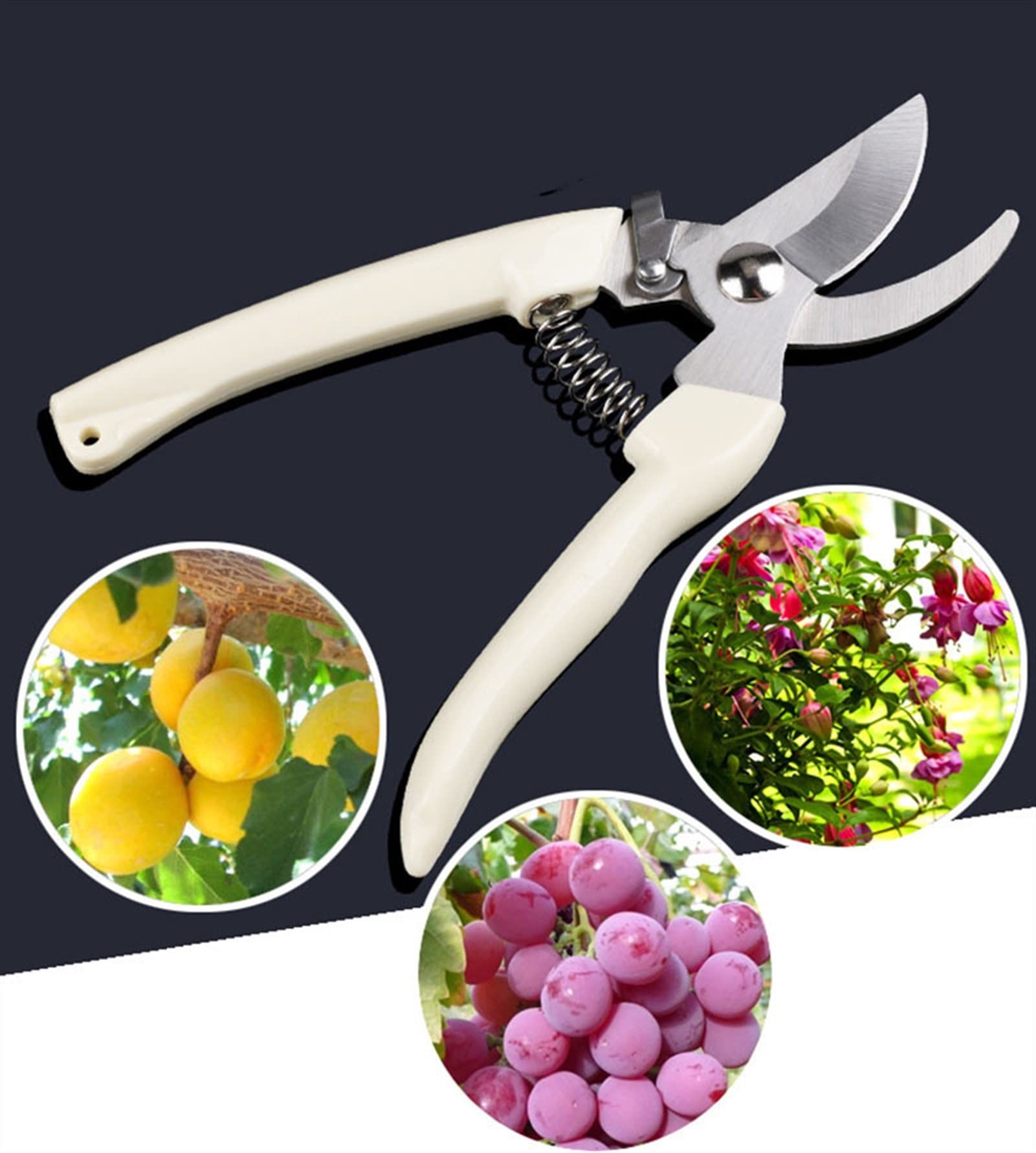 Attrezzo per innesto da Giardino in Acciaio Inossidabile Cesoie per potatura di Alberi da frutto Forbici per Bonsai Cesoie da Giardino Forbici da Giardinaggio