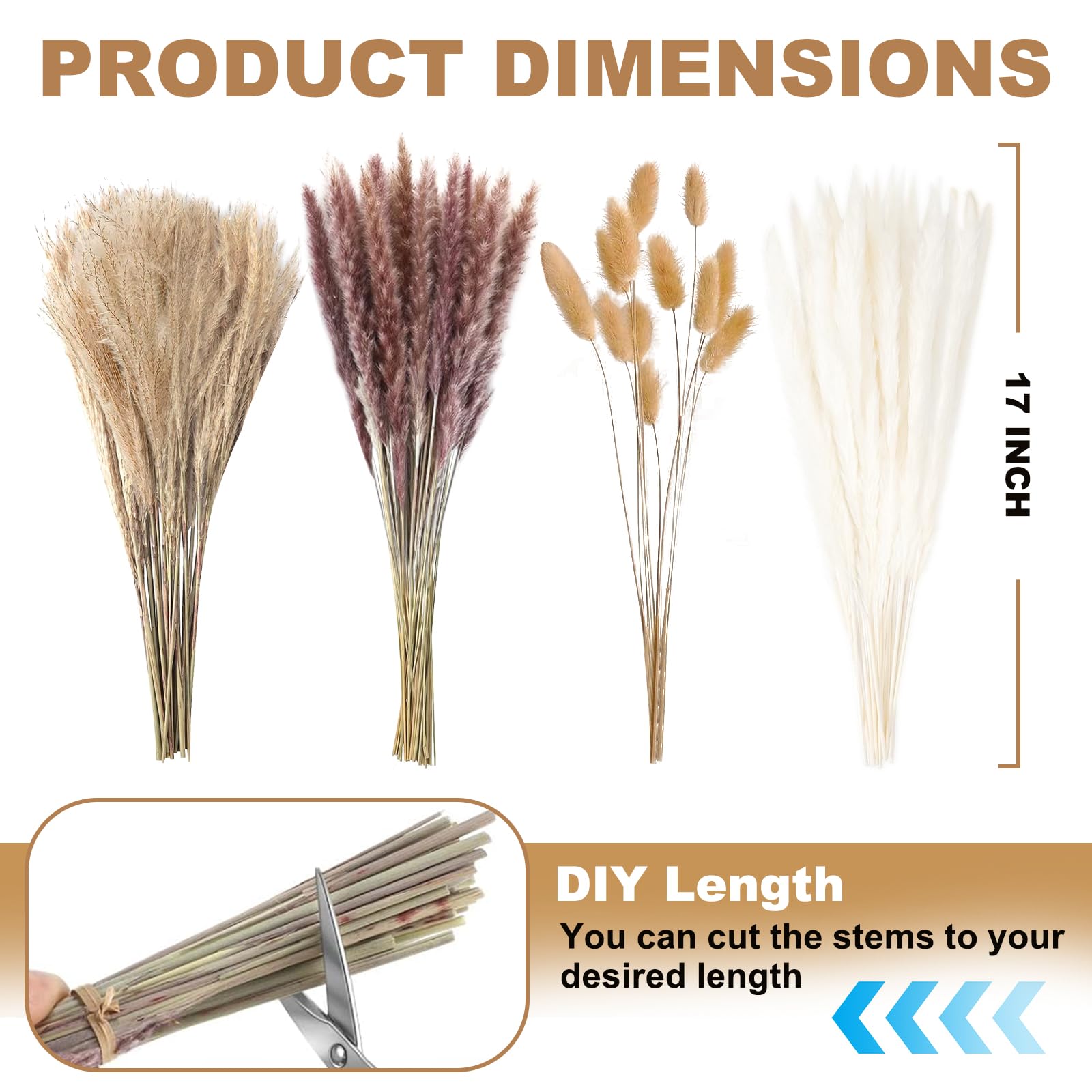 Decoración Mesa Rustic Decoración Pampas Grass Secas - 100 Piezas Para  Arreglos Boho Ramo Seco Natural 100 Piezas, image size:1600x1600