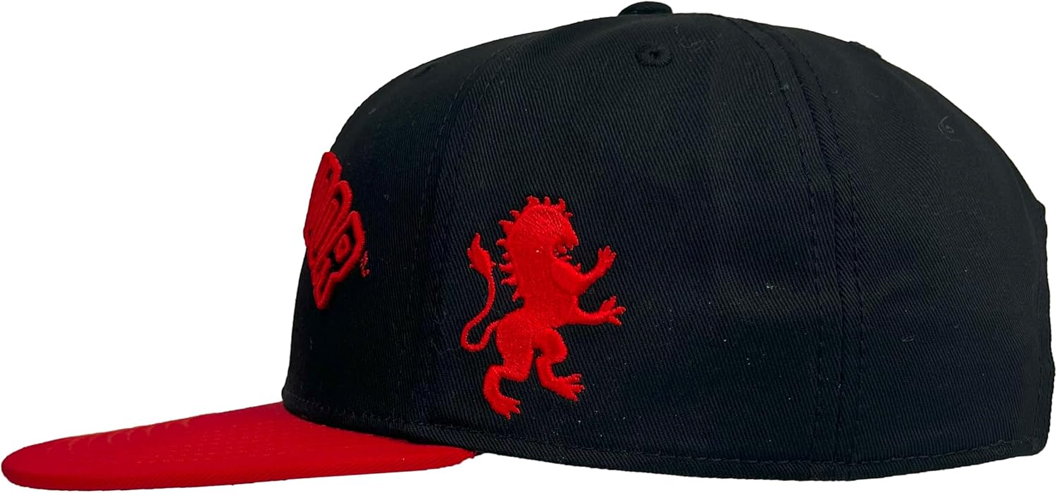 Harry Potter Hogwarts House Arc 5-Panel Structured Flat Brim Hat Collection