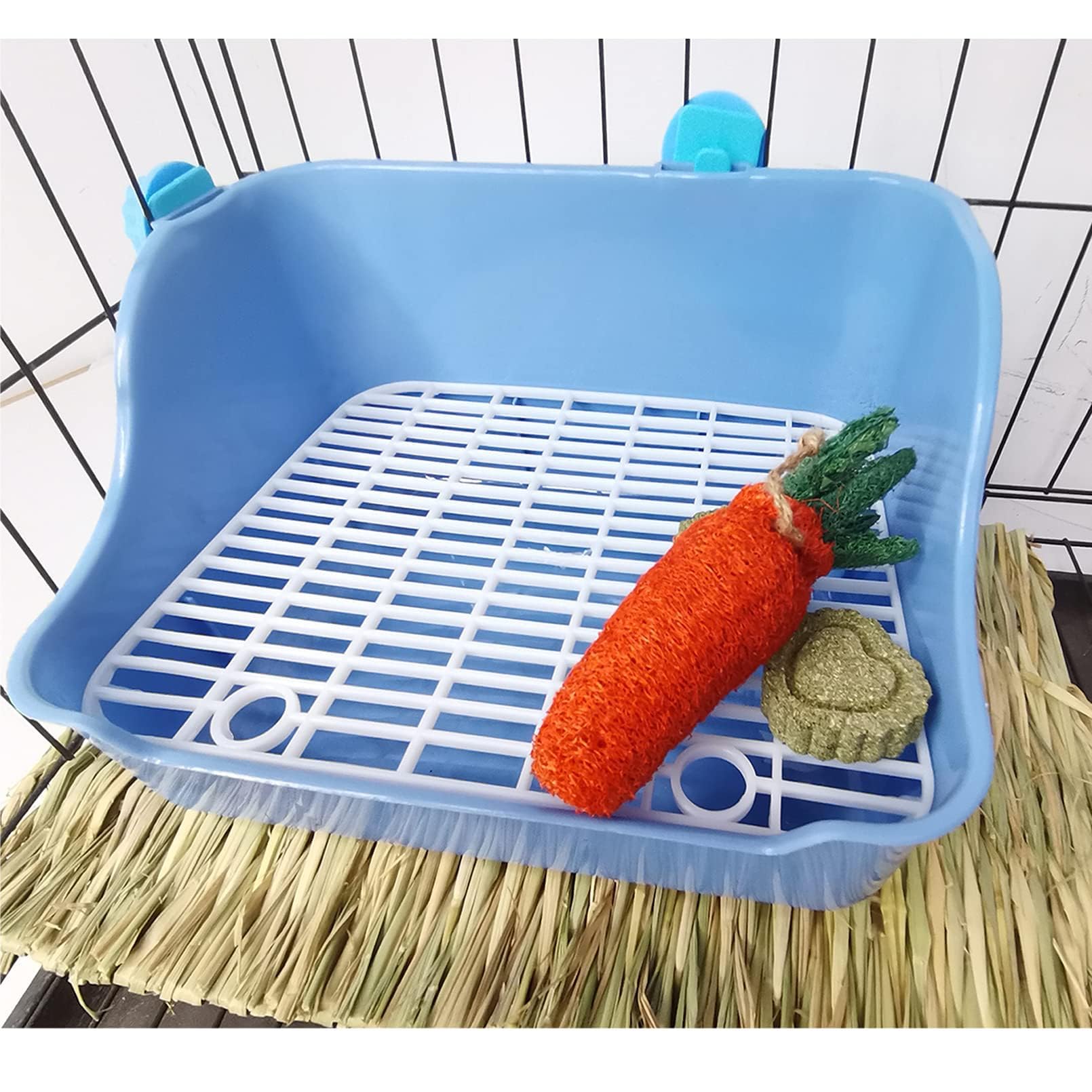 Snapklik Com Hamiledyi Guinea Pig Potty Training Small Animal Litter Photo Inspiration