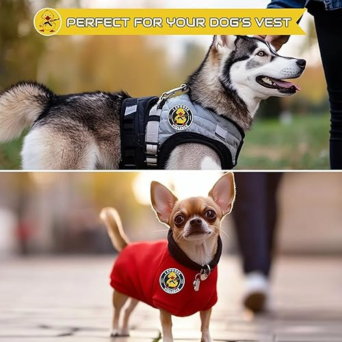 Miniatura 10 de XMJY Parche con texto en inglés "I Choose Violence, parche bordado de 3 pulgadas con gancho y bucle, divertido parche de moral para mochilas