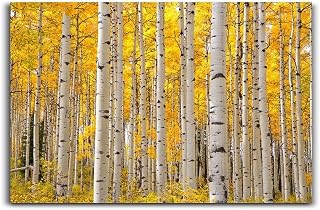 Aspen Trees in Colorado on A Beautiful Fall Day Poster Canvas Painting Print Wall Art Modern Living Room Kitchen Posters Bedroom Room Aesthetics Decor 08x12inch(20x30cm) Unframe-style