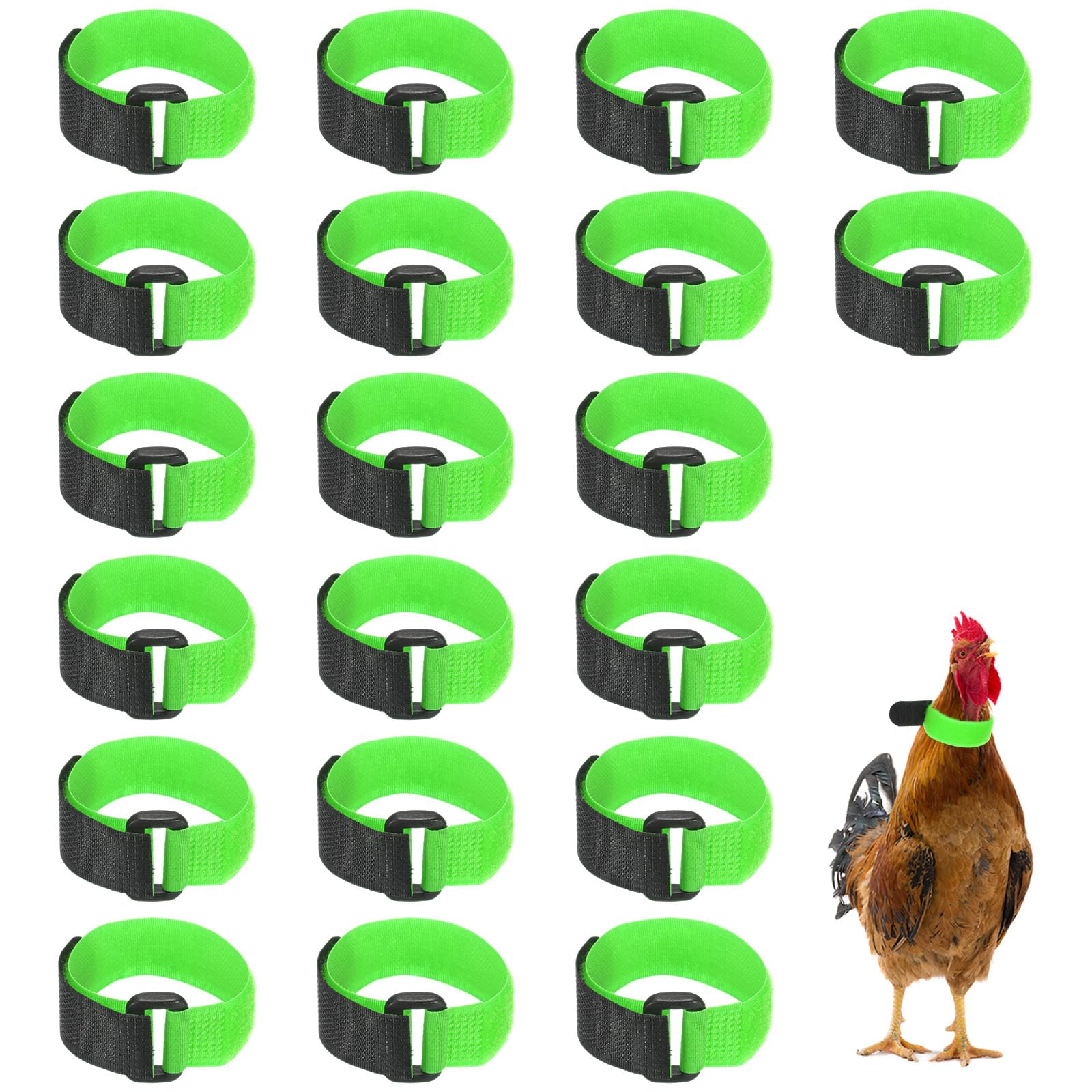 M METERXITY 20-Pack Rooster Collars, 8.07" x 0.79" Adjustable Soft Polyester Anti-Noise Neck Belt for Chickens and Poultry Birds, Noise Control Collar [Green]