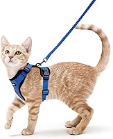 Vista 16 de rabbitgoo Cat Harness and Leash for Walking, Escape Proof Soft Adjustable Vest Harnesses for Cats, Easy Control Breathable Reflective Strips Jacket
