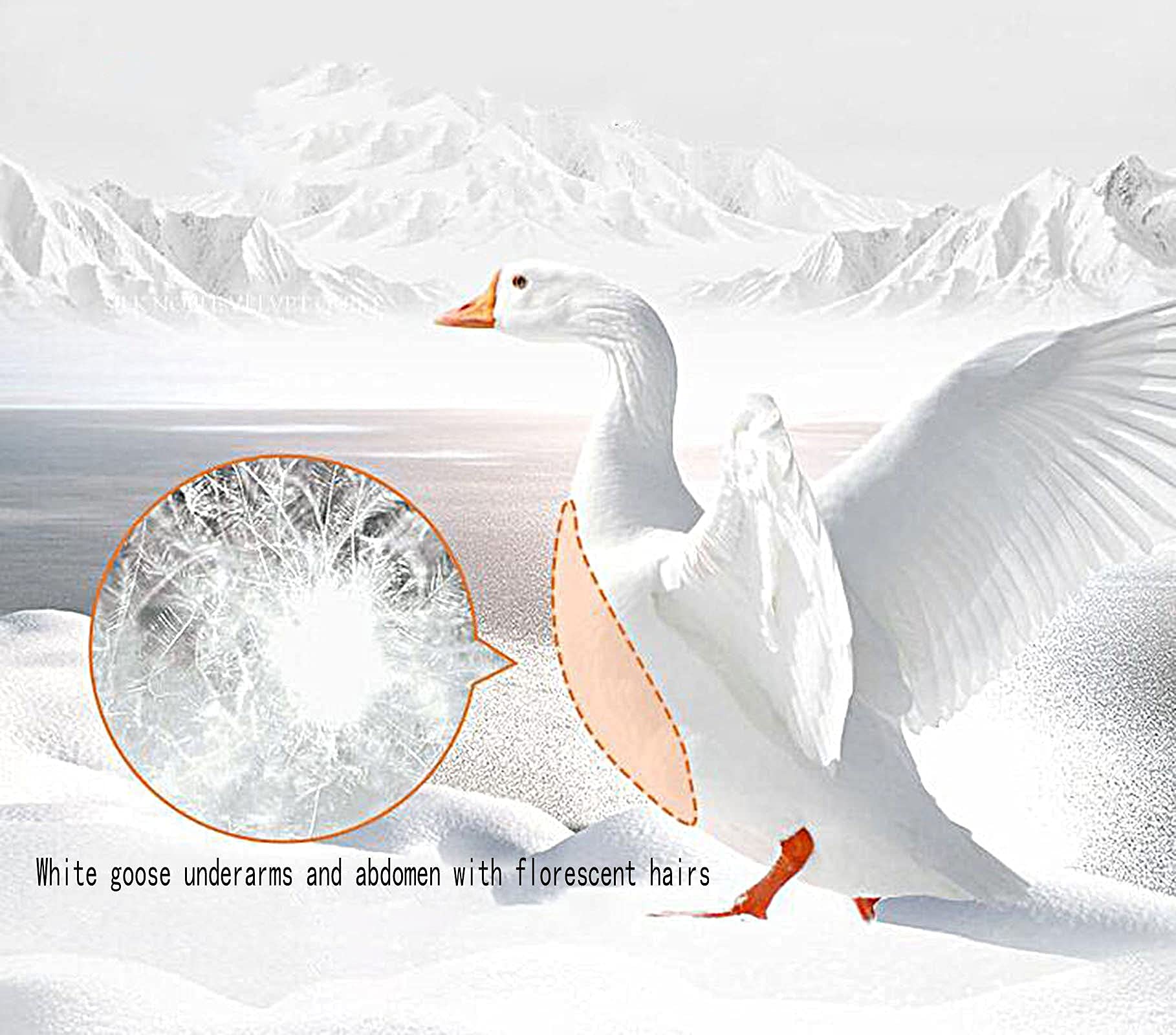Nucleo Trapunta Piumino Trapunta Invernale 95% Piumino D'Anatra Bianca Trapunta Doppia Trapunta Piumino D'Anatra Ispessito Biancheria da Letto Tessili per la casa Regali aziendali Piumino