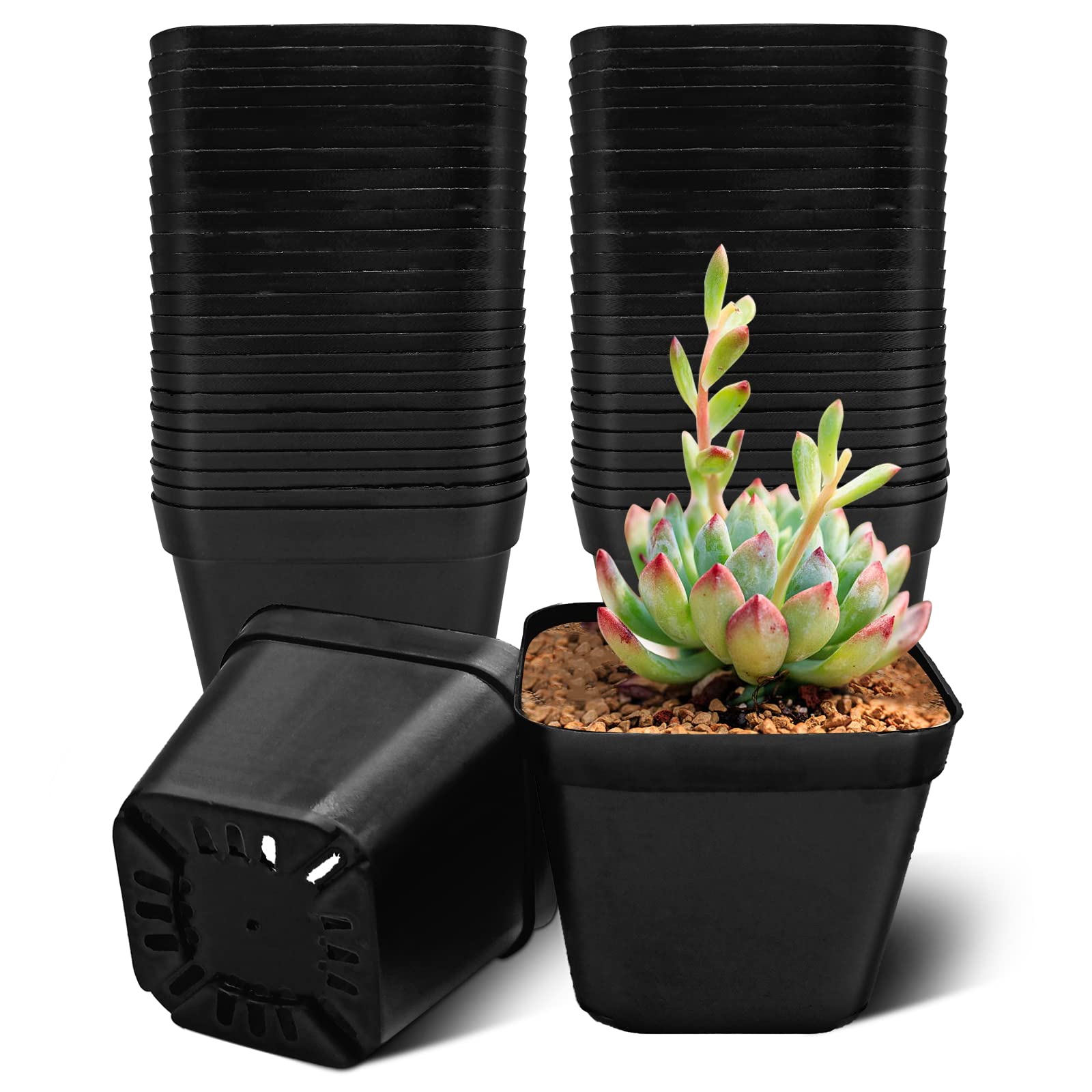 50Pcs Plant Flower Pots 10cm Plastic Square Plant Nursery Pots Small Flower Plant Container for Succulent Fruit Vegetable Seedlings Transplanting