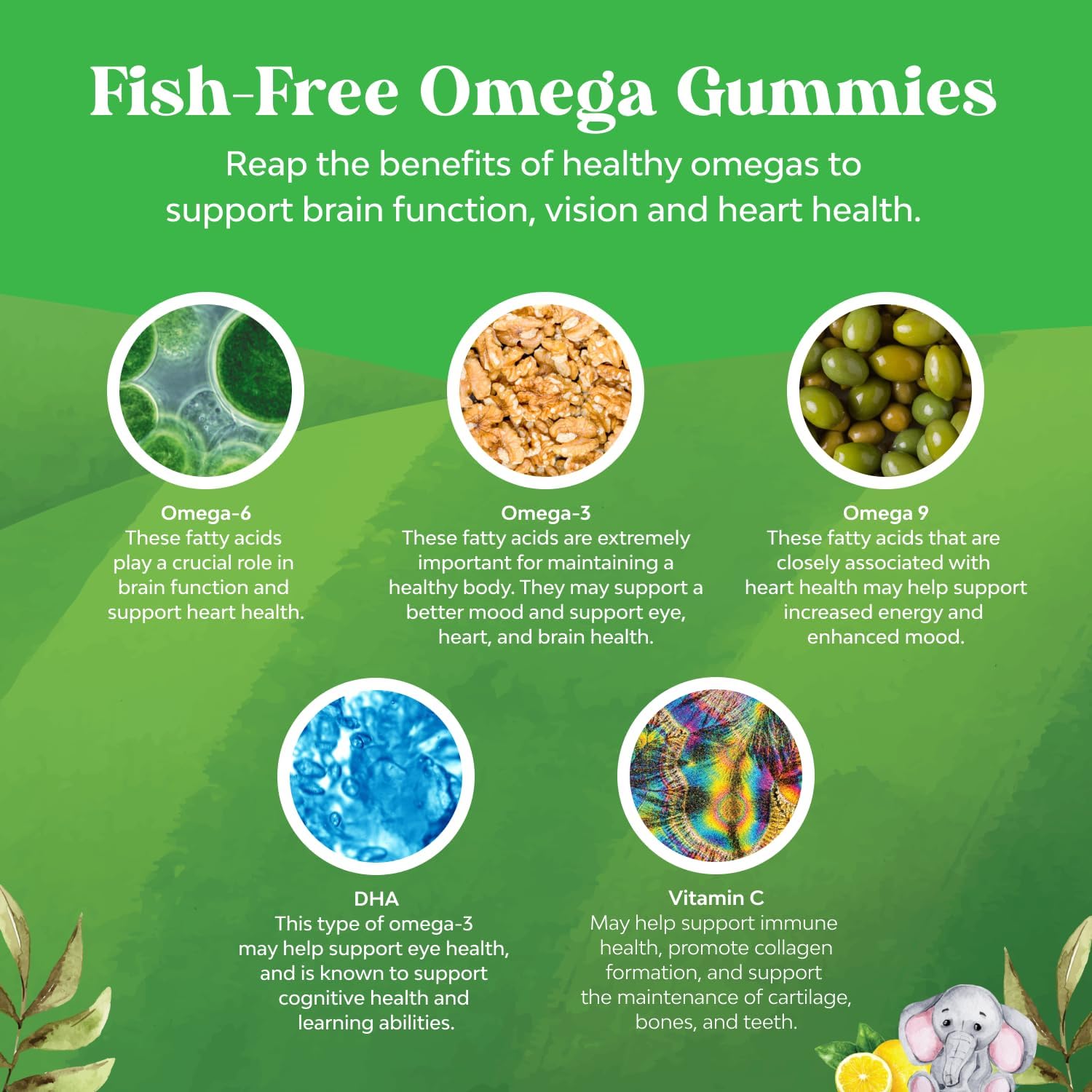 Kids DHA Omega 3 Gummies for Kids - Delicious Fish Free DHA Omega 3 Gummies with Vegetarian 6 9 for Vision Brain & Immunity - Non GMO Supplement Fish & Gluten Free - 90 Count - Image 4