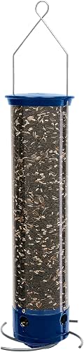 Droll Yankees Whipper Squirrel-Proof Bird Feeder for Outdoors | 5lb