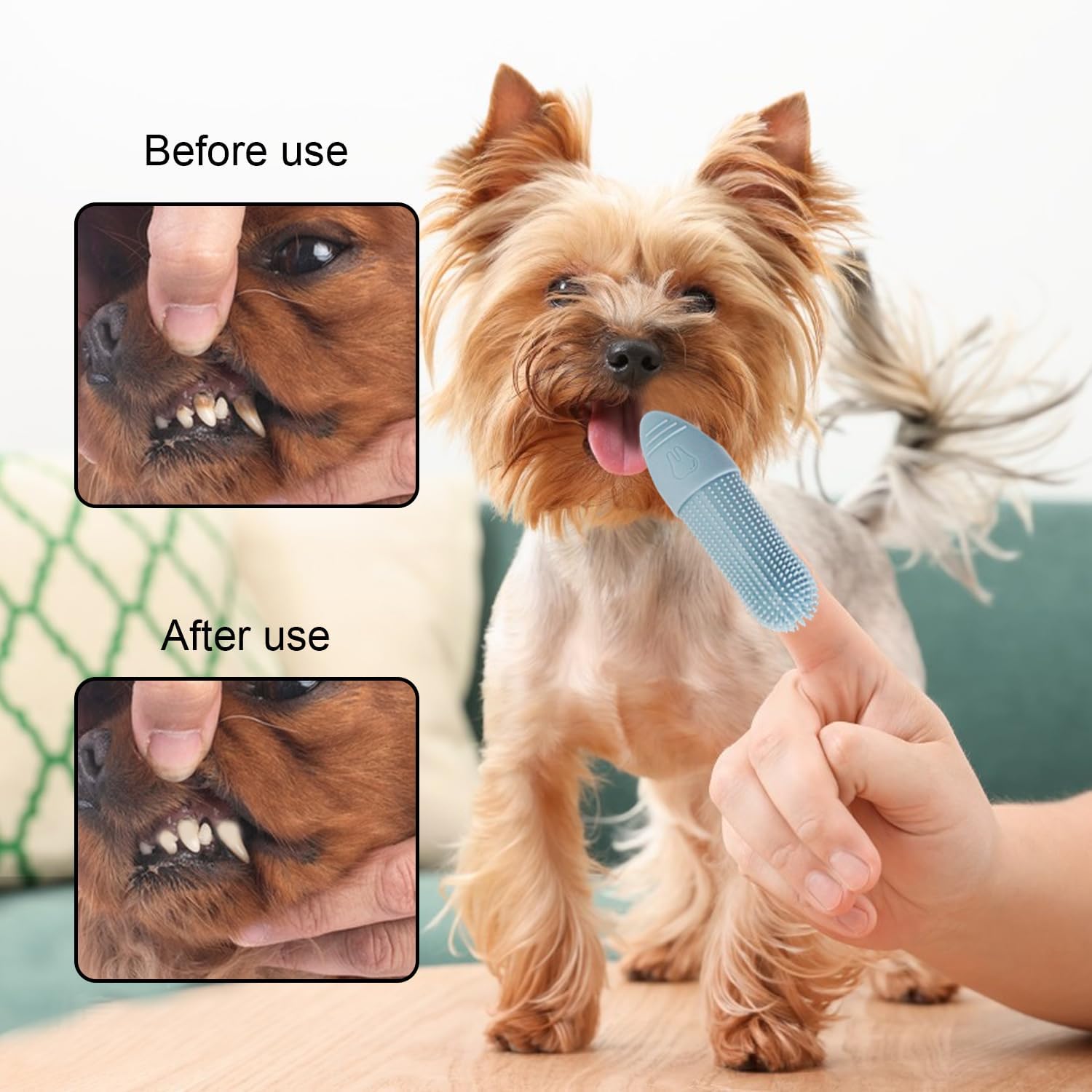 2Pcs Dog Finger Toothbrush, Puppy and Cat Teeth Cleaning for Dental Care Silicone Bristles Tooth Brushes - Image 3