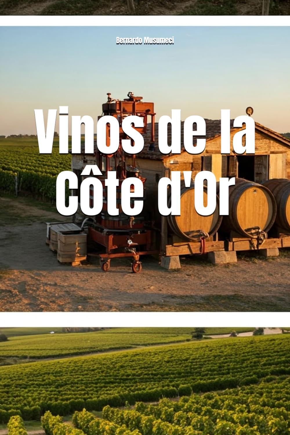Vinos de la Côte d'Or (Wines of the World: France)