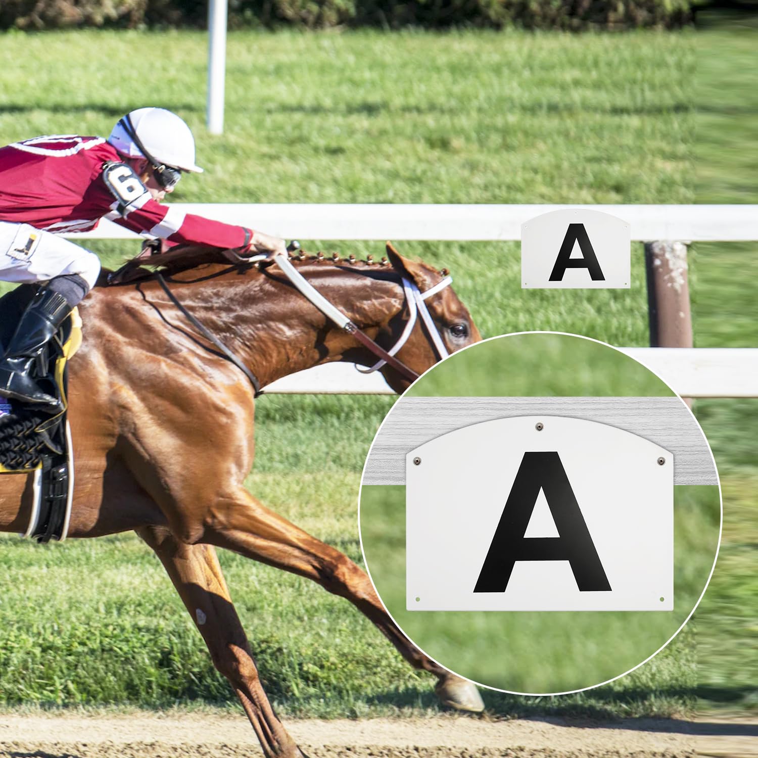 PEUTIER 8pz Pennarelli da Dressage per Montaggio a Parete per Arena, Acrilico Pennarelli da Dressage da Allenamento per Atleti Equestri A B C E H K F M Segni di Lettere Grandi