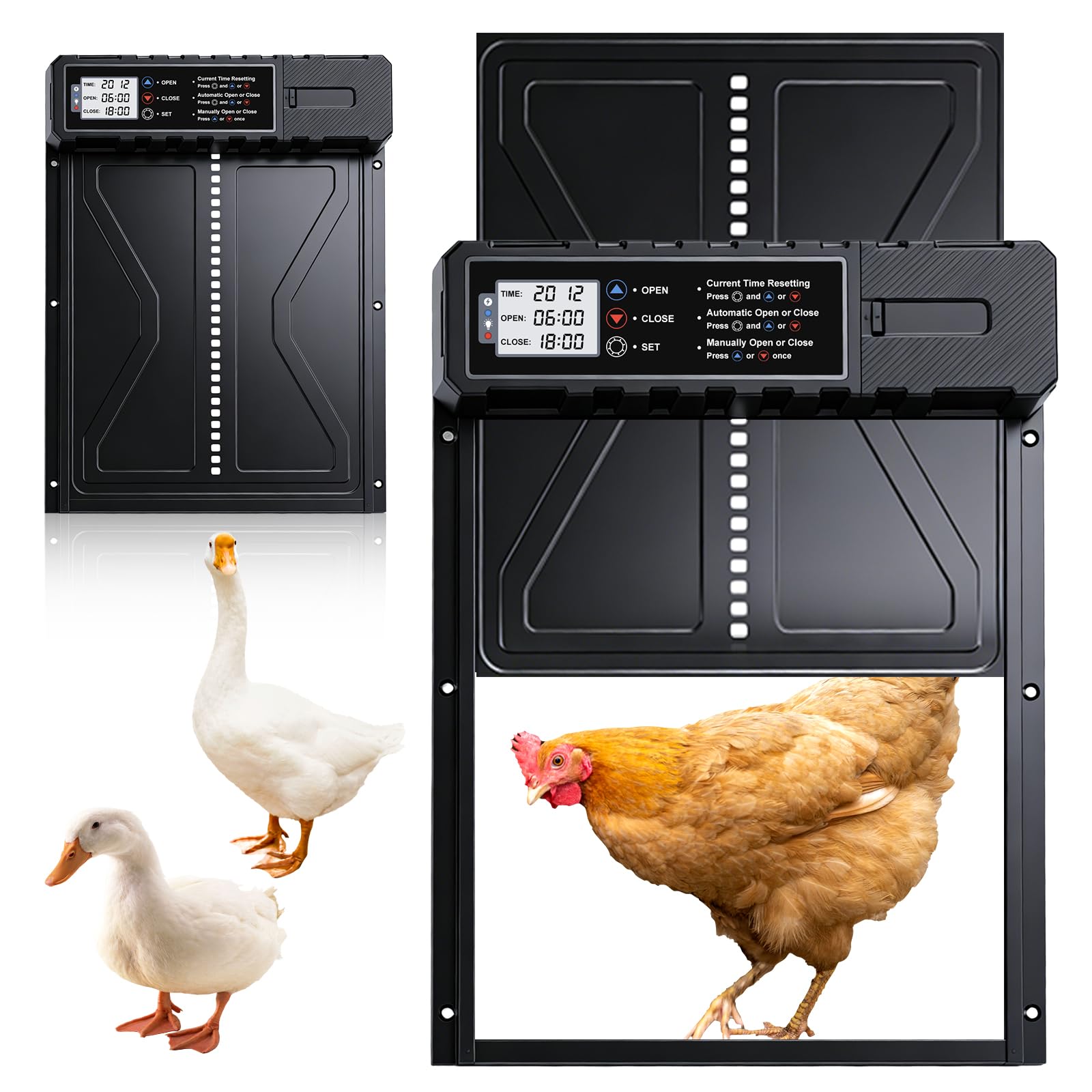 Batería automática de gallina, tamaño de aluminio puerta eléctrica de pollo con pantalla+temporizador+protección inteligente contra pellizcos Modo manual, funciona con pilas (pilas no incluidas)