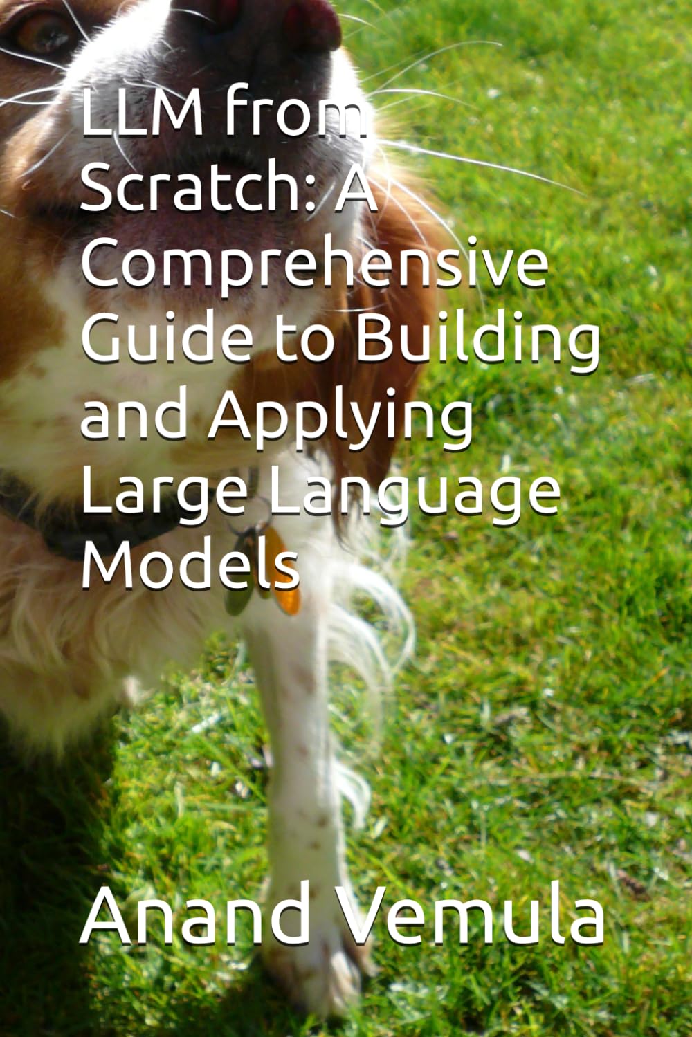LLM from Scratch: A Comprehensive Guide to Building and Applying Large Language Models