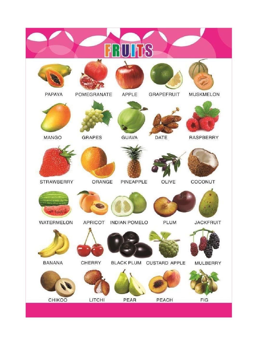 Eoi Marketing Fruits Wall Charts - Extremely Usefull For Growing Kids | Laminated Chart | Paper Size (13 * 19 inch) | Paper Print (Rolled With Safety Tube)-image-33