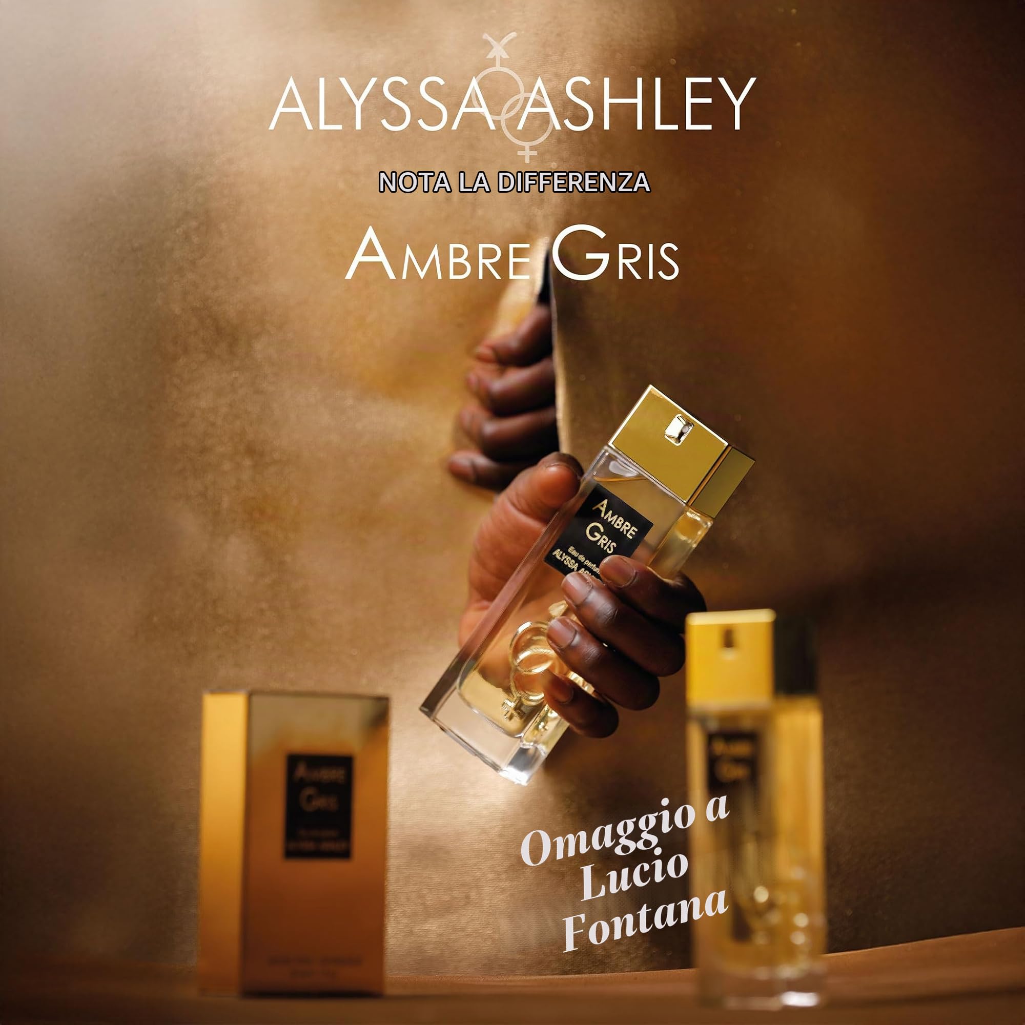 Alyssa Ashley - Ambre Gris Eau de Parfum, Profumo all'Ambra Grigia - 50 ml